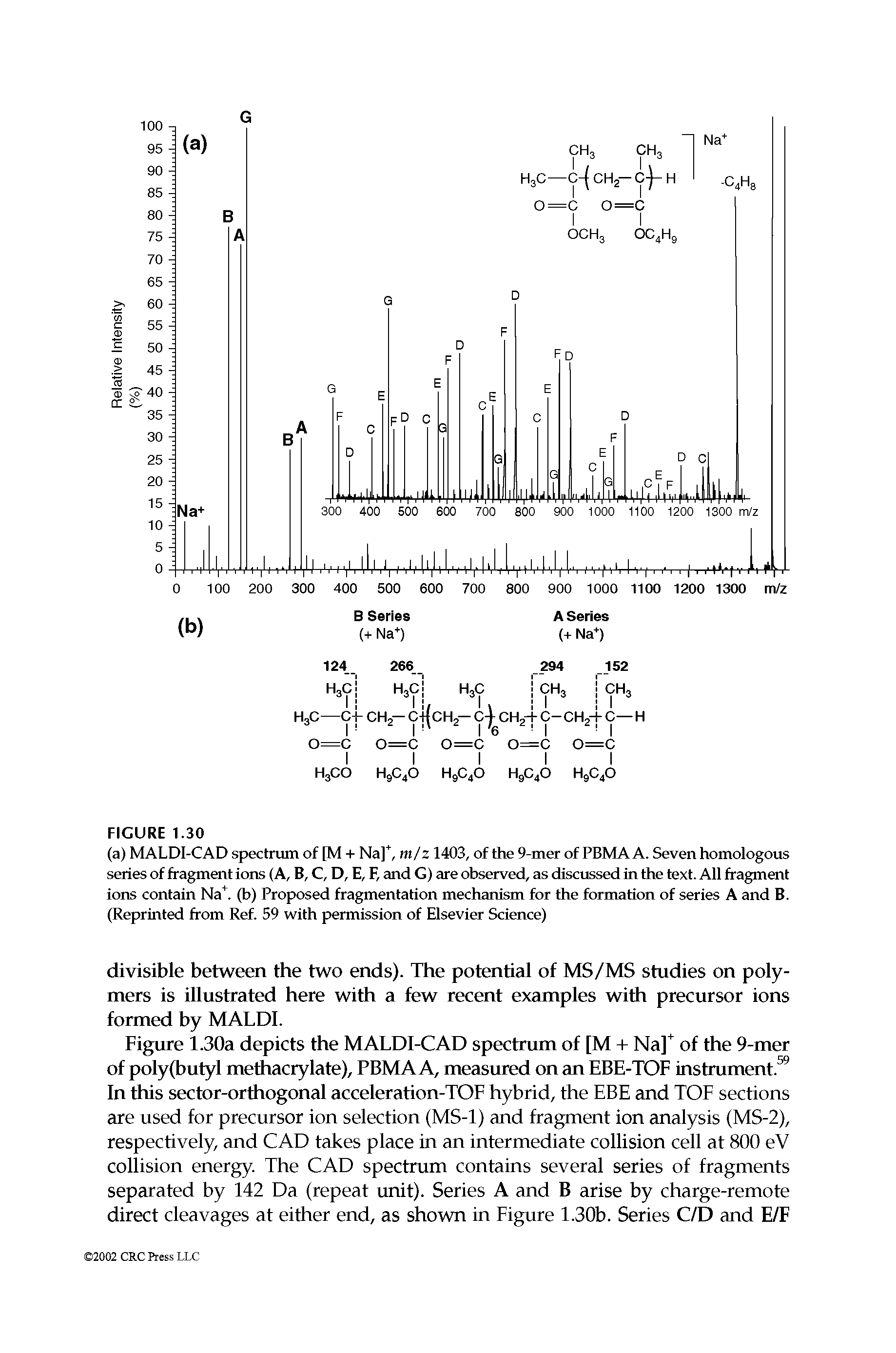 Figure 1.30a depicts the MALDI-CAD spectrum of [M + Na] of the 9-mer of poly(butyl methacrylate), PBMA A, measured on an EBE-TOF instrument. In this sector-orthogonal acceleration-TOF hybrid, the EBE and TOP sections are used for precursor ion selection (MS-1) and fragment ion analysis (MS-2), respectively, and CAD takes place in an intermediate collision cell at 800 eV collision energy. The CAD spectrum contains several series of fragments separated by 142 Da (repeat unit). Series A and B arise by charge-remote direct cleavages at either end, as shown in Figure 1.30b. Series C/D and E/F...