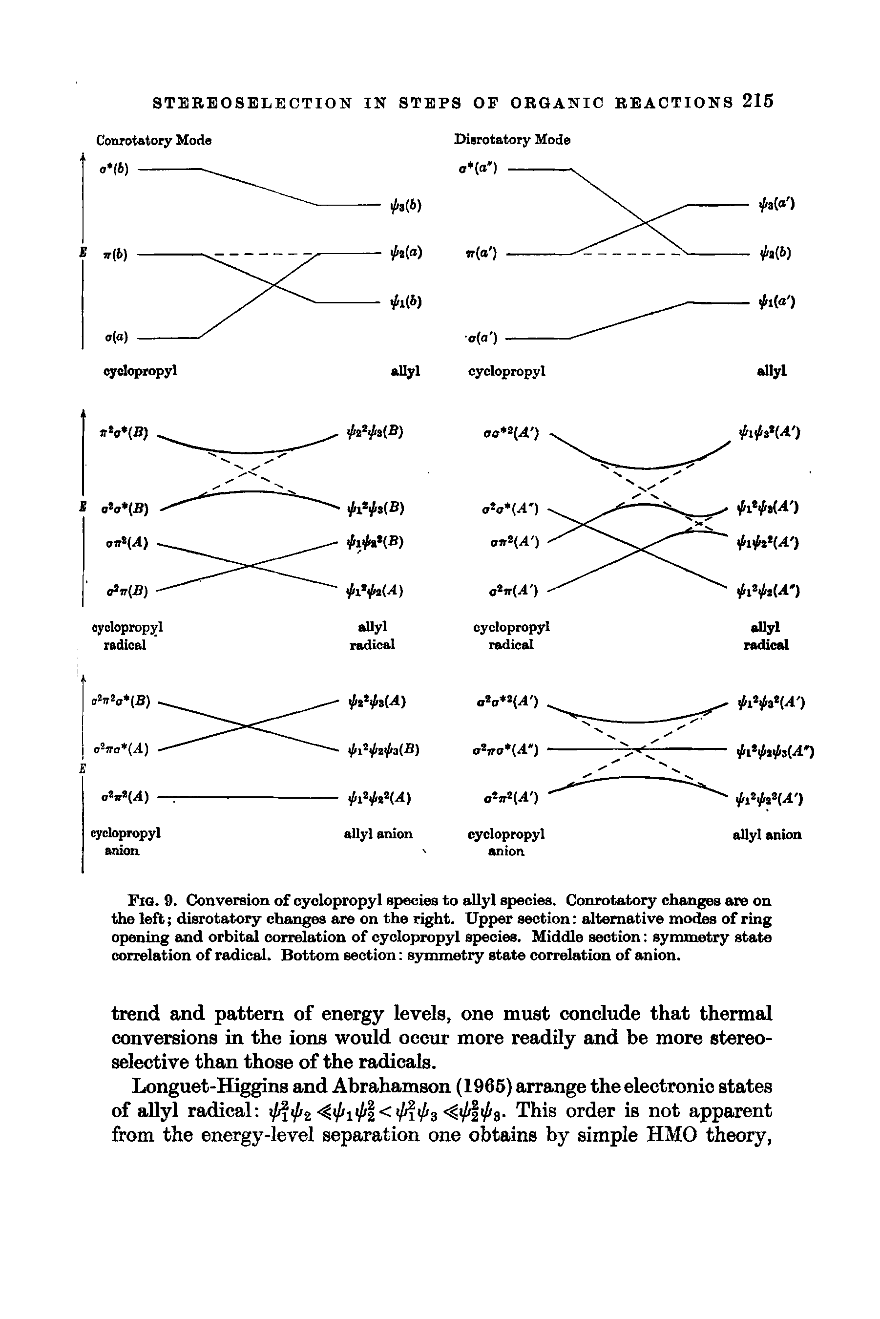 Fig. 9. Conversion of oyclopropyl species to allyl species. Conrotatory changes are on the left disrotatory changes are on the right. Upper section alternative modes of ring opening and orbital correlation of cyclopropyl species. Middle section symmetry state correlation of radical. Bottom section symmetry state correlation of anion.