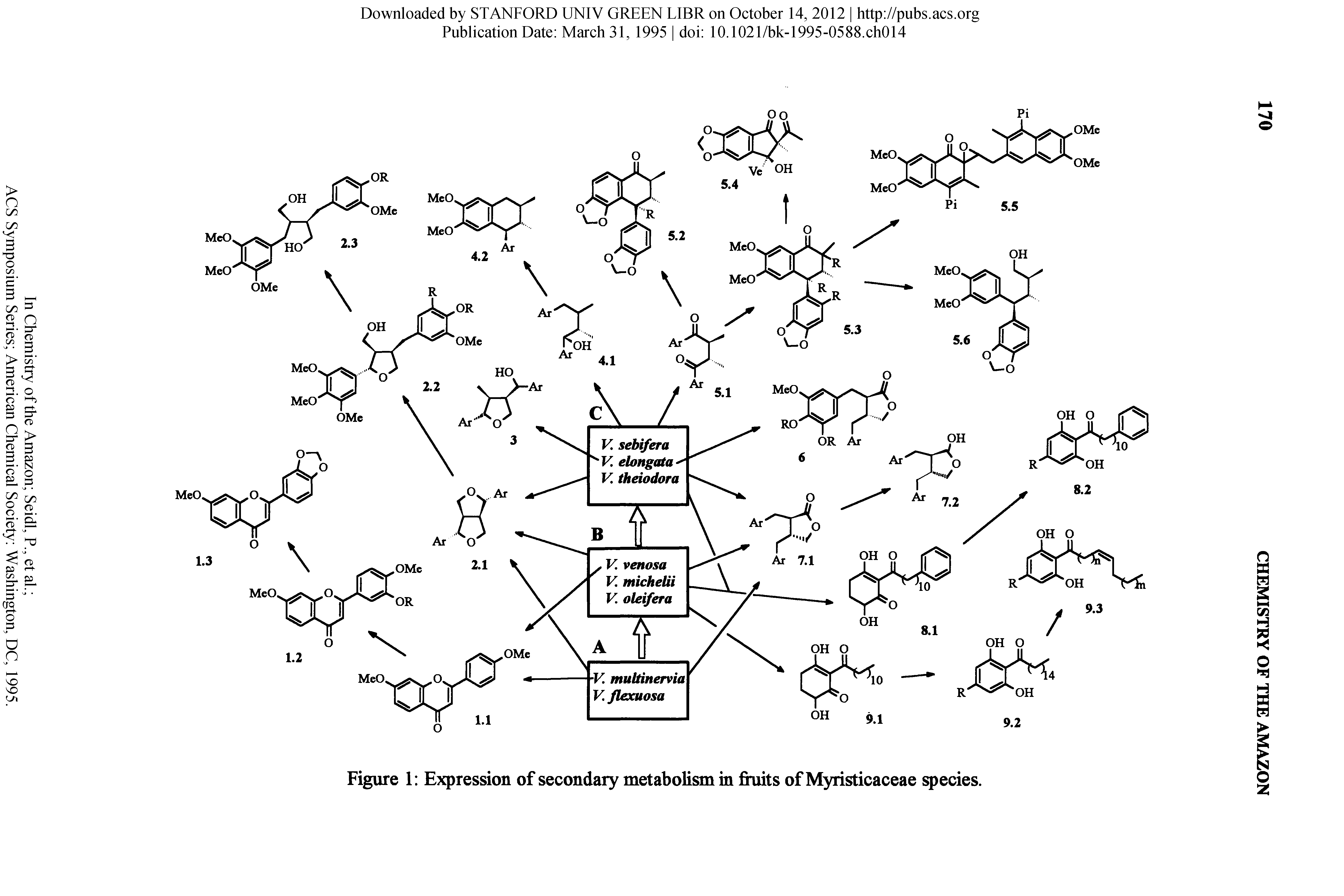 Figure 1 Expression of secondary metabolism in fiuits of Myristicaceae species.