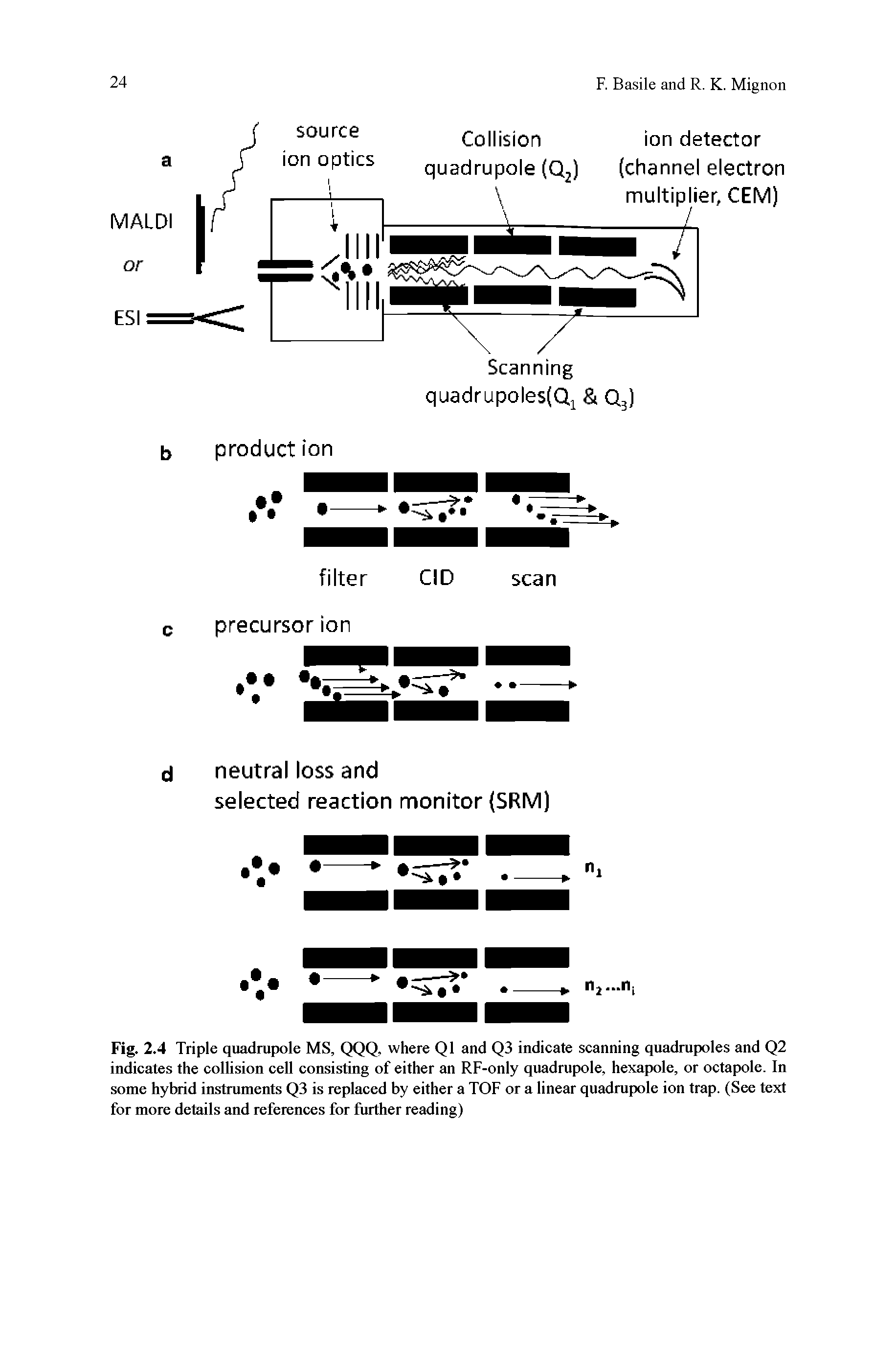 Fig. 2.4 Triple quadrupole MS, QQQ, where Q1 and Q3 indicate scanning quadrupoles and Q2 indicates the collision cell consisting of either an RF-only quadrupole, hexapole, or octapole. In some hybrid instruments Q3 is replaced by either a TOF or a linear quadrupole ion trap. (See text for more details and references for further reading)...