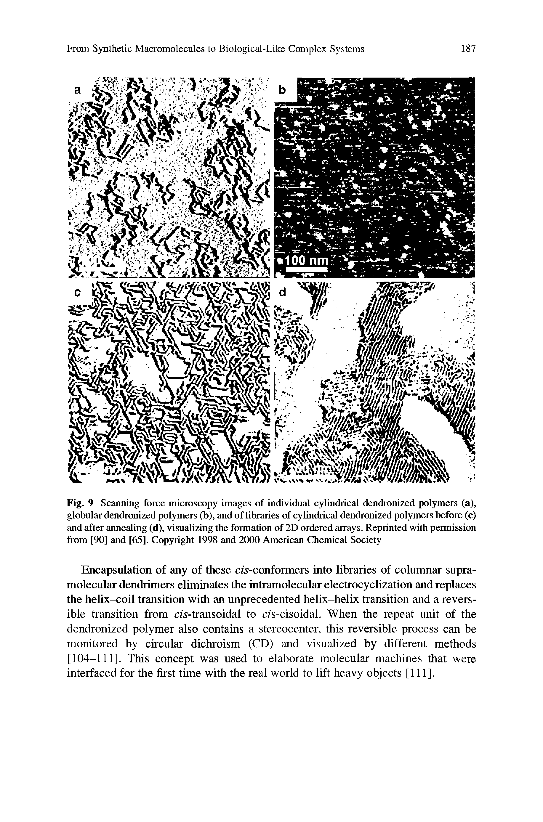 Fig. 9 Scanning force microscopy images of individual cylindrical dendronized polymers (a), globular dendronized polymers (b), and of libraries of cylindrical dendronized polymers before (c) and after annealing (d), visualizing the formation of 2D ordered arrays. Reprinted with permission from [90] and [65]. Copyright 1998 and 2000 American Chemical Society...