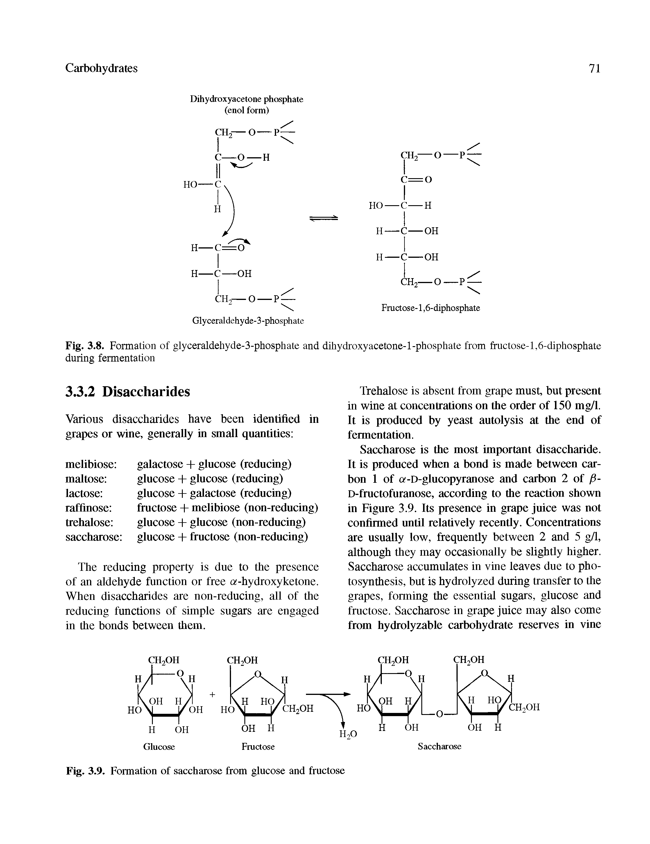 Fig. 3.8. Formation of glyceraldehyde-3-phosphate and dihydroxyacetone-1-phosphate from fructose-1,6-diphosphate during fermentation...