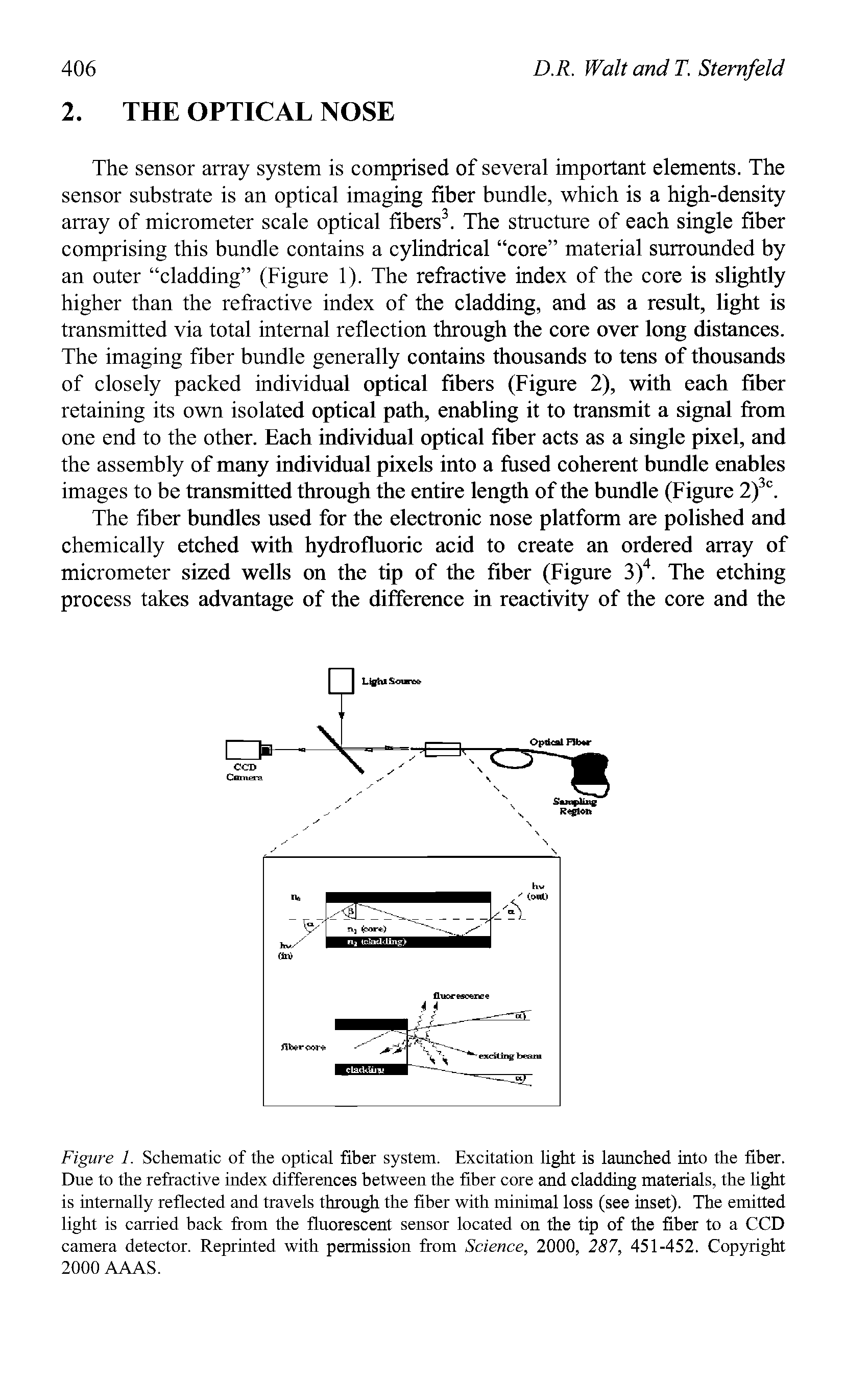 Figure 1. Schematic of the optical fiber system. Excitation light is launched into the fiber. Due to the refractive index differences between the fiber core and cladding materials, the light is internally reflected and travels through the fiber with minimal loss (see inset). The emitted light is carried back from the fluorescent sensor located on the tip of the fiber to a CCD camera detector. Reprinted with permission from Science, 2000, 287, 451-452. Copyright 2000 AAAS.