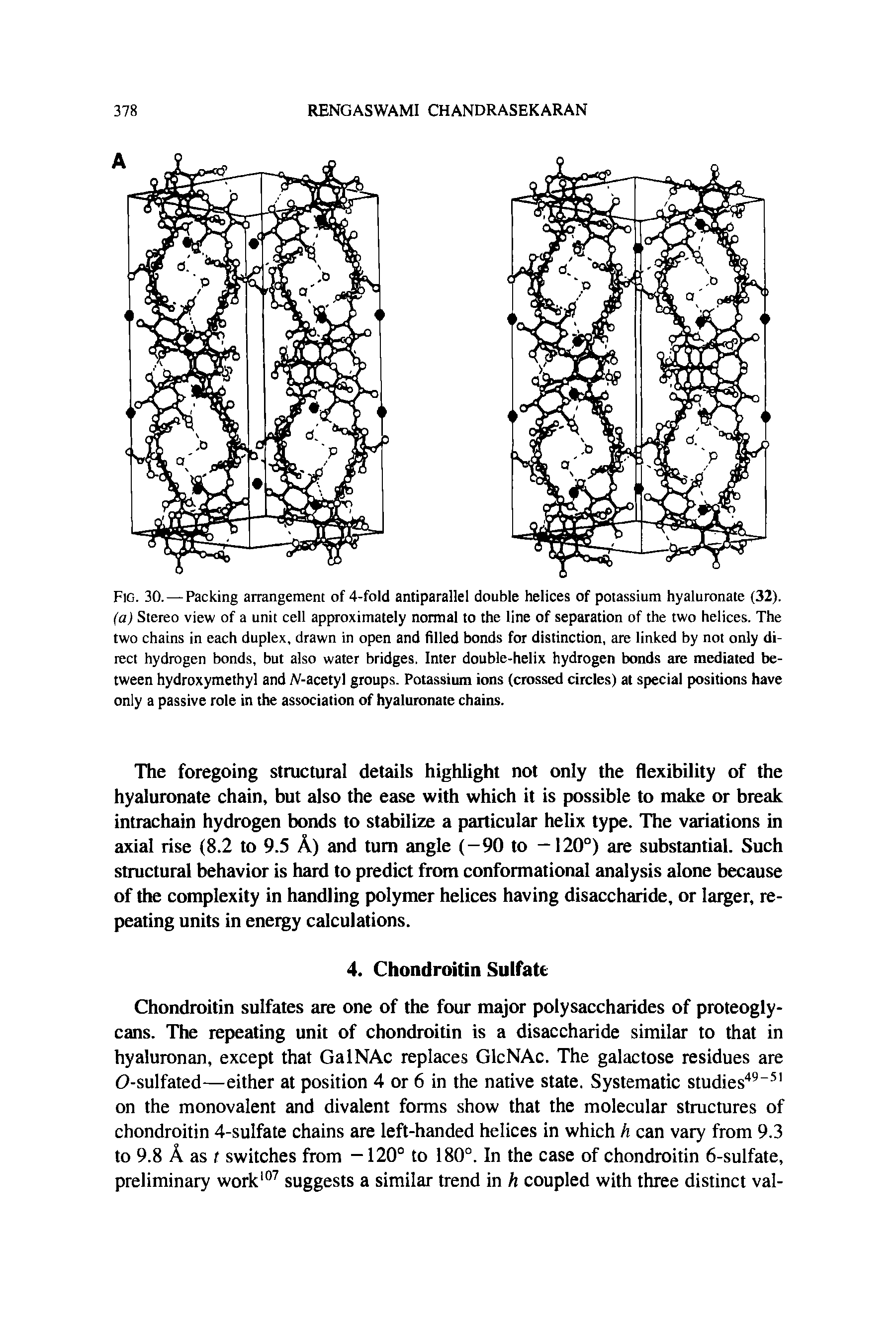 Fig. 30. — Packing arrangement of 4-fold antiparallel double helices of potassium hyaluronate (32). (a) Stereo view of a unit cell approximately normal to the line of separation of the two helices. The two chains in each duplex, drawn in open and filled bonds for distinction, are linked by not only direct hydrogen bonds, but also water bridges. Inter double-helix hydrogen bonds are mediated between hydroxymethyl and iV-acetyl groups. Potassium ions (crossed circles) at special positions have only a passive role in the association of hyaluronate chains.