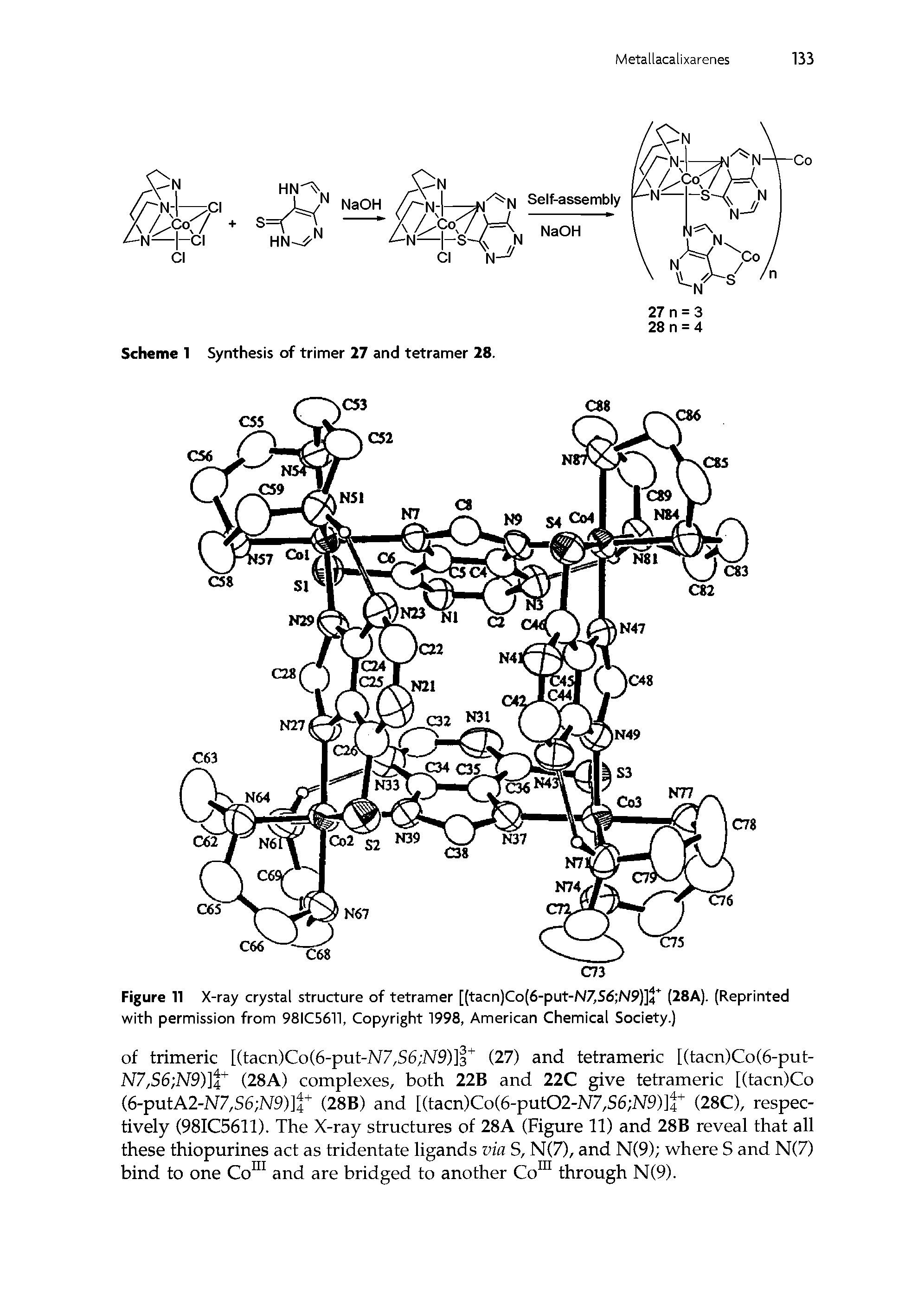 Figure 11 X-ray crystal structure of tetramer [(tacn)Co(6-put-N7,S6 N9)]4 (28A). (Reprinted with permission from 98IC5611, Copyright 1998, American Chemical Society.)...