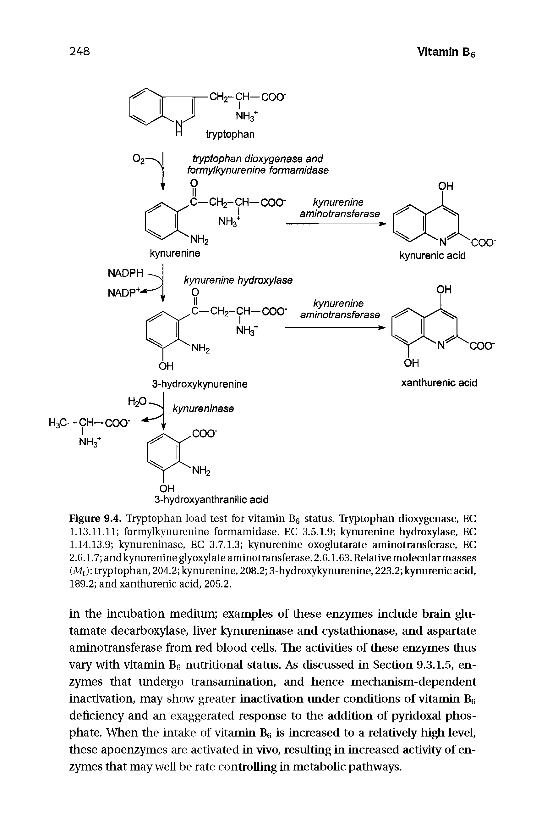 Figure 9.4. Tryptophan load test for vitamin Be status. Tryptophan dioxygenase, EC 1.13.11.11 formylkynurenine formamidase, EC 3.5.1.9 kynurenine hydroxylase, EC 1.14.13.9 kynureninase, EC 3.7.1.3 kynurenine oxoglutarate aminotransferase, EC 2.6.1.7 andkynurenine glyoxylate aminotransferase, 2.6.1.63. Relative molecular masses (Mr) tryptophan, 204.2 kynurenine, 208.2 3-hydroxykynurenine, 223.2 kynurenic acid, 189.2 and xanthurenic acid, 205.2.
