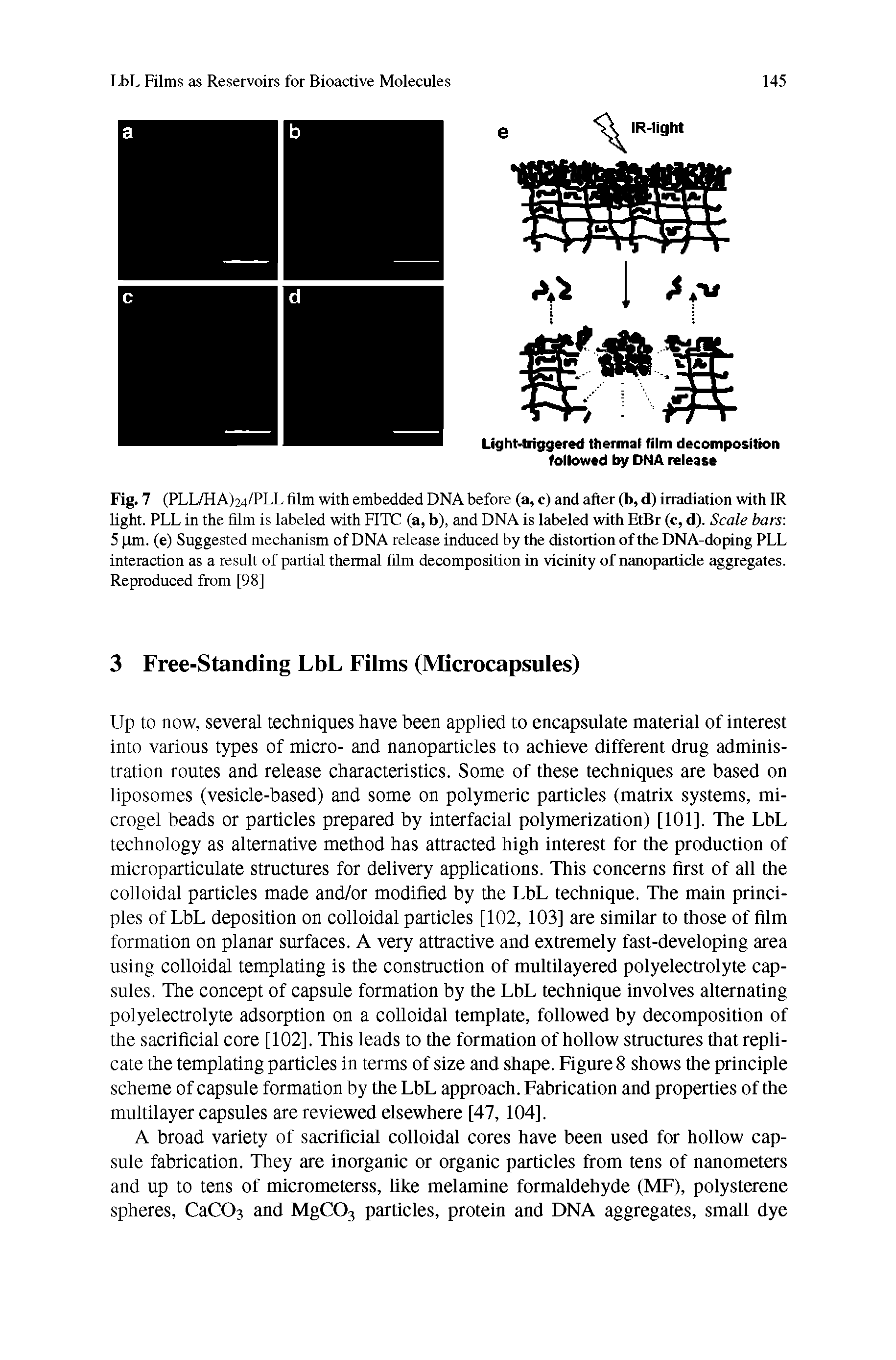 Fig. 7 (PLL/HA)24/PLL film with embedded DNA before (a, c) and after (b, d) irradiation with IR light. PLL in the film is labeled with FITC (a, b), and DNA is labeled with EtBr (c, d). Scale bars 5 pm. (e) Suggested mechanism of DNA release induced by the distortion of the DNA-doping PLL interaction as a result of partial thermal film decomposition in vicinity of nanoparticle aggregates. Reproduced from [98]...