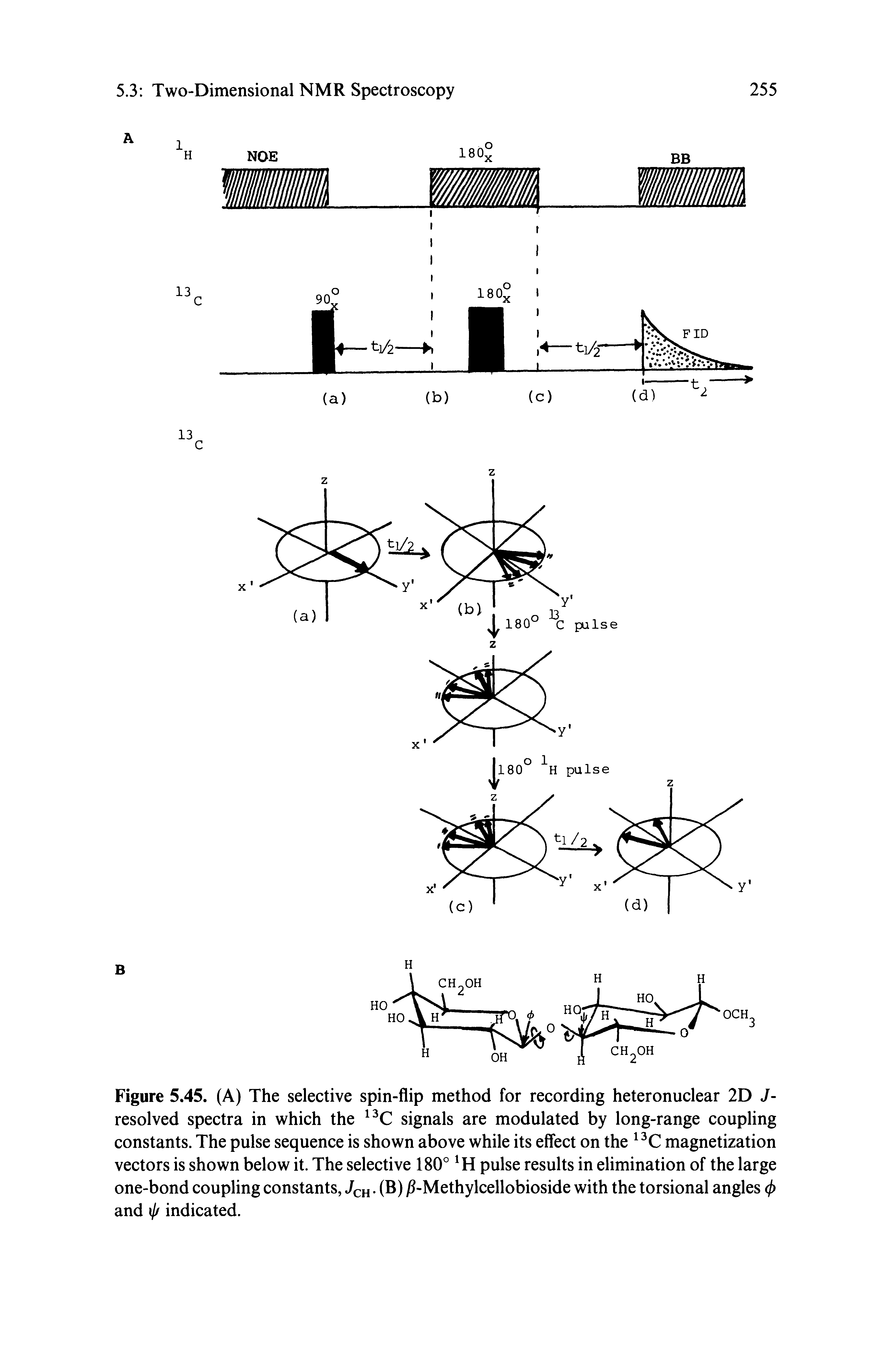 Figure 5.45. (A) The selective spin-flip method for recording heteronuclear 2D J-resolved spectra in which the signals are modulated by long-range coupling constants. The pulse sequence is shown above while its effect on the magnetization vectors is shown below it. The selective 180° pulse results in elimination of the large one-bond coupling constants, Jch ( ) j -Methylcellobioside with the torsional angles (j) and ij/ indicated.
