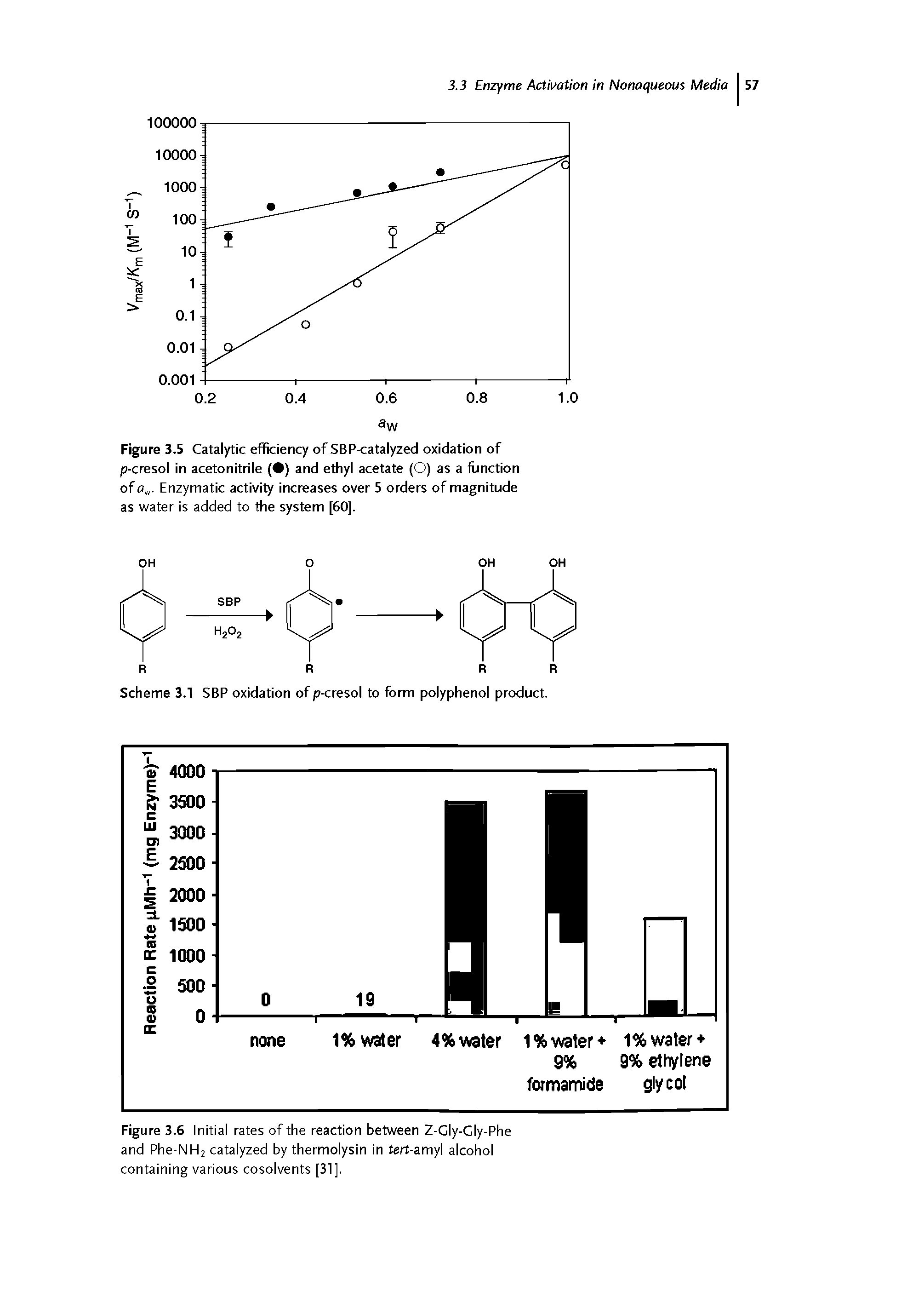 Figure 3.6 Initial rates of the reaction between Z-Gly-Gly-Phe and Phe-NH2 catalyzed by thermolysin in ferf-amyl alcohol containing various cosolvents [31].