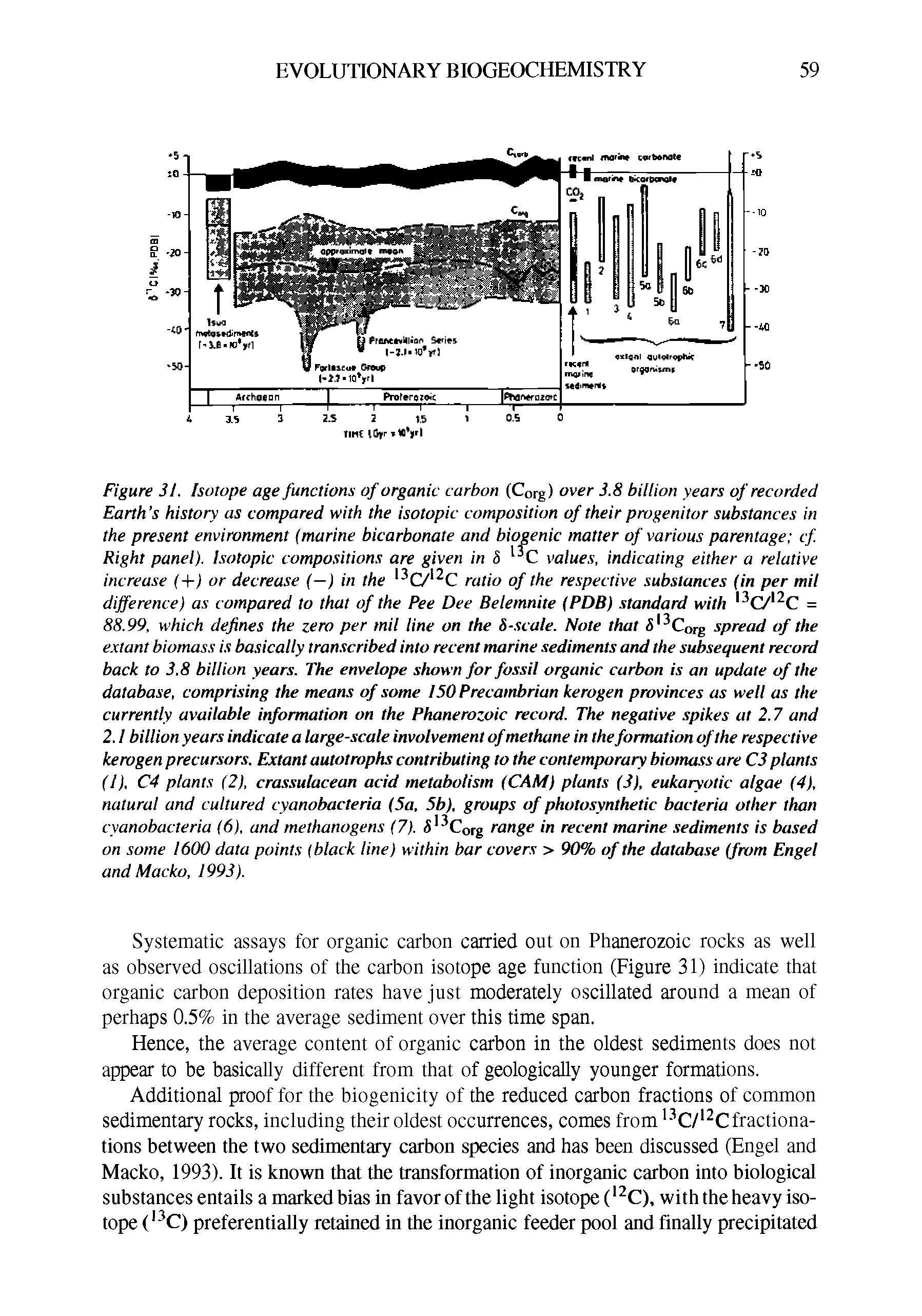 Figure 3t. Isotope age functions of organic carbon (Corg) over 3.8 billion years of recorded Earth s history as compared with the isotopic composition of their progenitor substances in the present environment (marine bicarbonate and biogenic matter of various parentage cf. Right panel). Isotopic compositions are given in values, indicating either a relative increase (+j or decrease (—) in the C7 C ratio of the respective substances (in per mil difference) as compared to that of the Pee Dee Belemnite (PDB) standard with =...