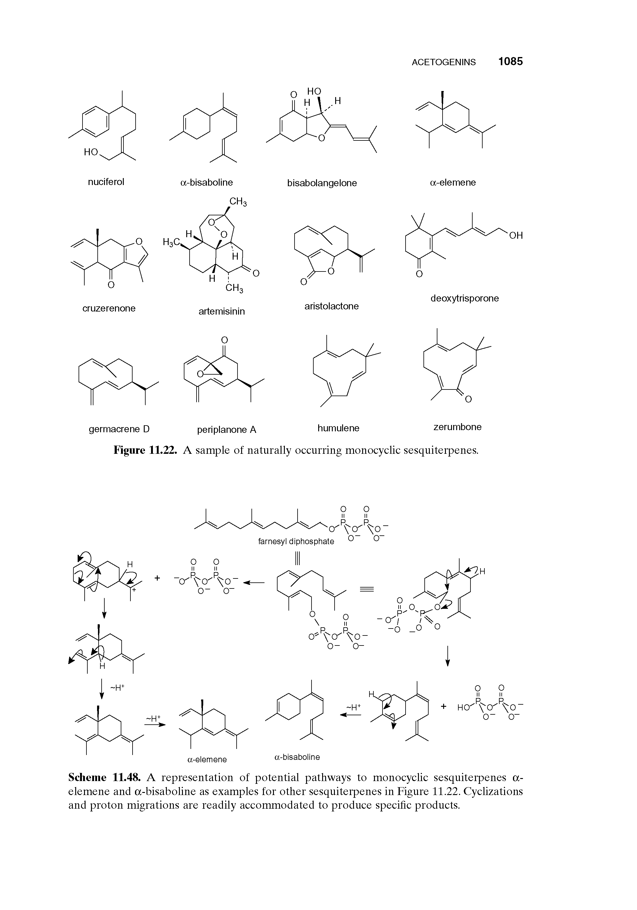 Scheme 11.48. A representation of potential pathways to monocyclic sesquiterpenes a-elemene and a-bisaboline as examples for other sesquiterpenes in Figure 11.22. Cyclizations and proton migrations are readily accommodated to produce specific products.