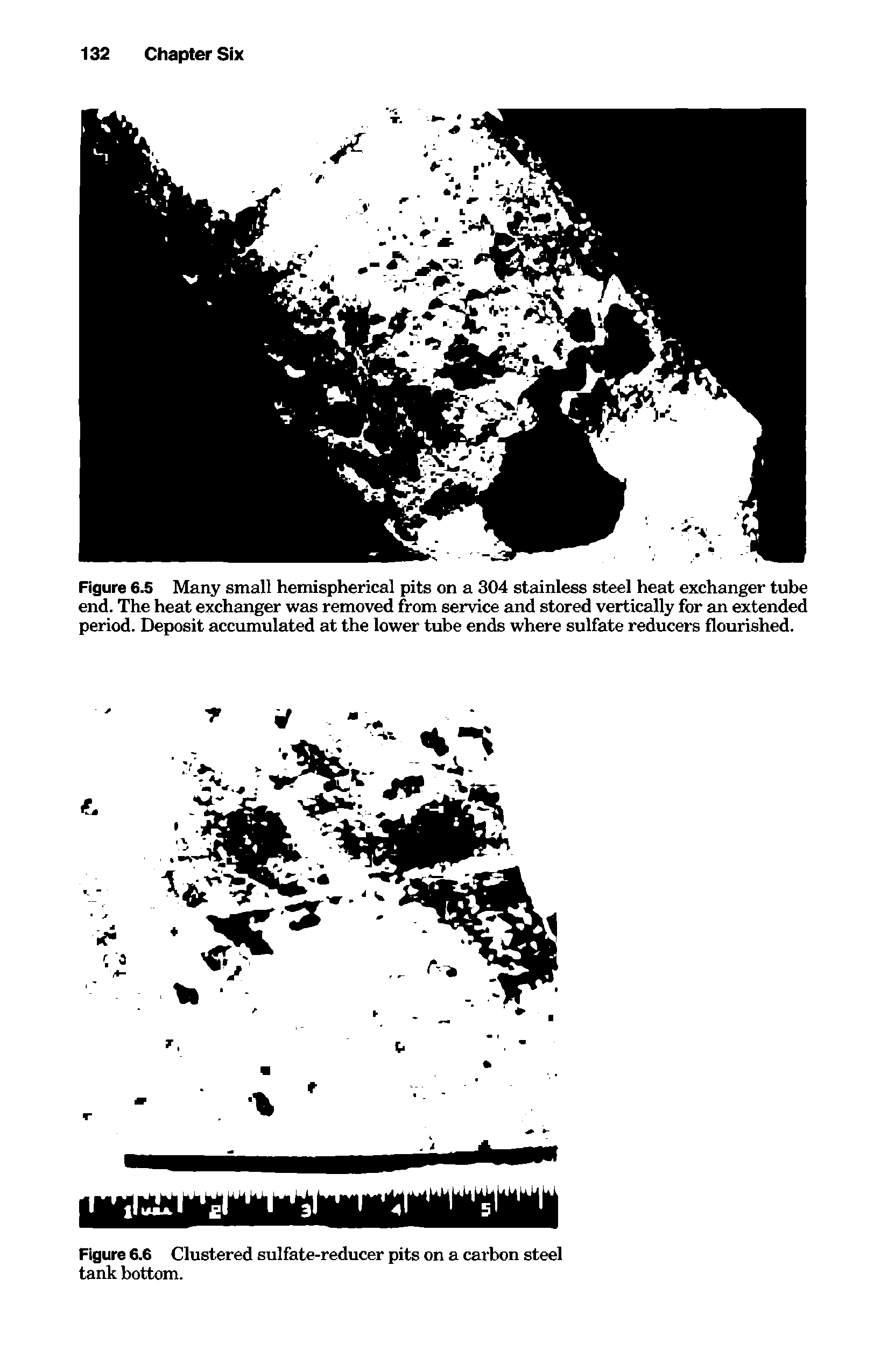 Figure 6.6 Clustered sulfate-reducer pits on a carbon steel tank bottom.