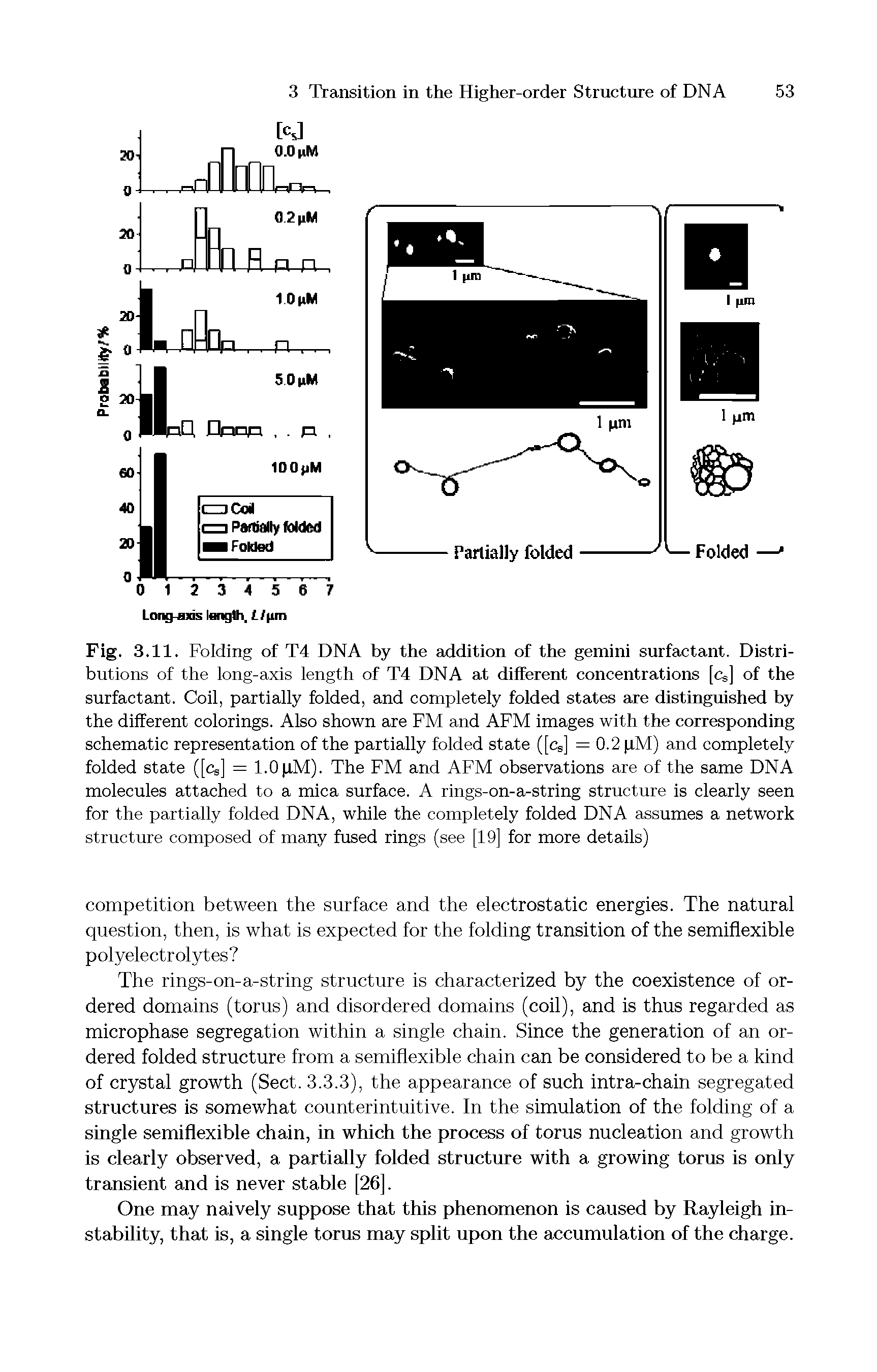 Fig. 3.11. Folding of T4 DNA by the addition of the gemini surfactant. Distributions of the long-axis length of T4 DNA at different concentrations [cs] of the surfactant. Coil, partially folded, and completely folded states are distinguished by the different colorings. Also shown are FM and AFM images with the corresponding schematic representation of the partially folded state ([cs] =0.2 pM) and completely folded state ([cs] = 1.0pM). The FM and AFM observations are of the same DNA molecules attached to a mica surface. A rings-on-a-string structure is clearly seen for the partially folded DNA, while the completely folded DNA assumes a network structure composed of many fused rings (see [19] for more details)...