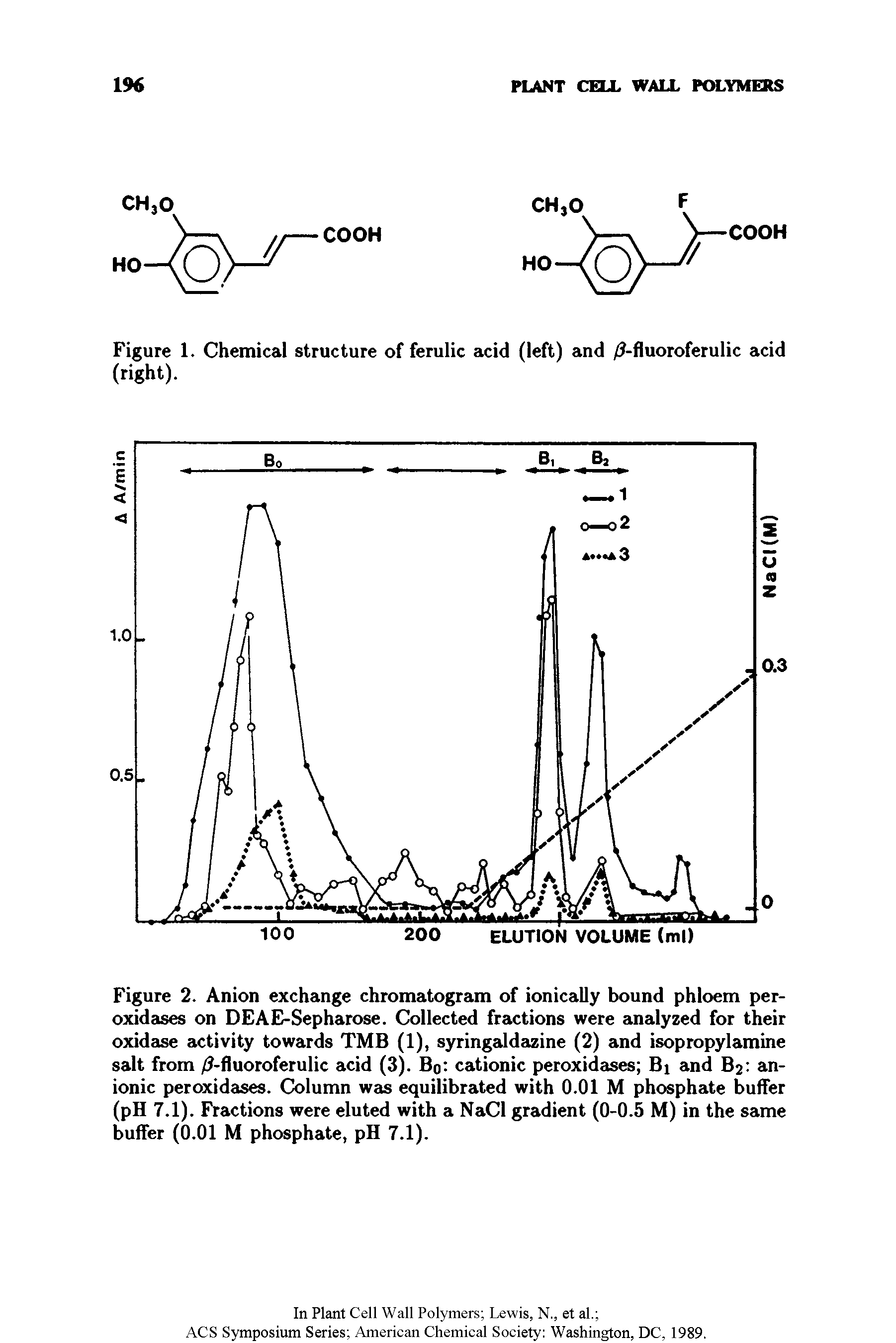 Figure 2. Anion exchange chromatogram of ionically bound phloem peroxidases on DEAE-Sepharose. Collected fractions were analyzed for their oxidase activity towards TMB (1), syringaldazine (2) and isopropylamine salt from / -fluoroferulic acid (3). Bo cationic peroxidases Bj and B2 anionic peroxidases. Column was equilibrated with 0.01 M phosphate buffer (pH 7.1). Fractions were eluted with a NaCl gradient (0-0.5 M) in the same buffer (0.01 M phosphate, pH 7.1).