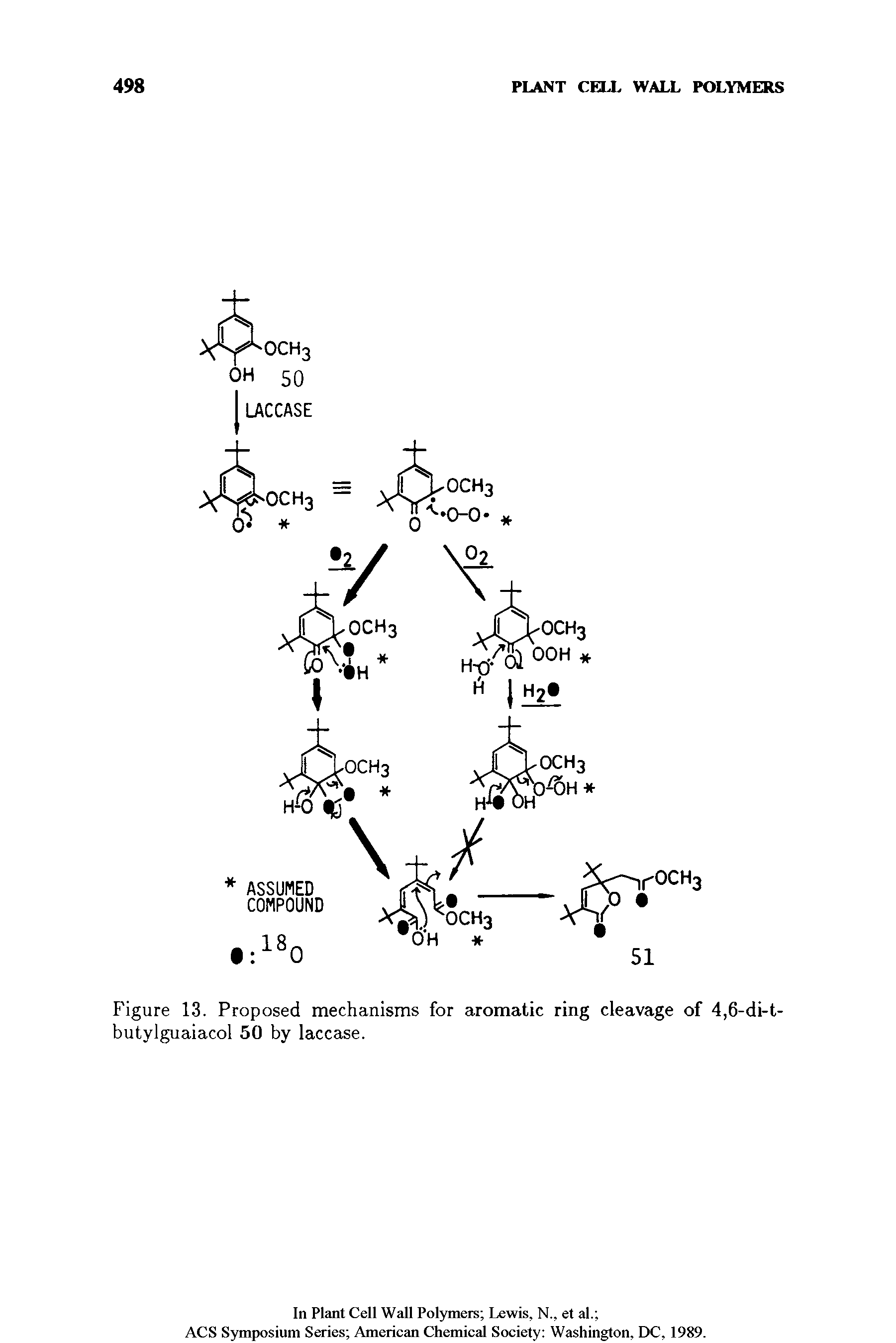 Figure 13. Proposed mechanisms for aromatic ring cleavage of 4,6-di-t-butylguaiacol 50 by laccase.