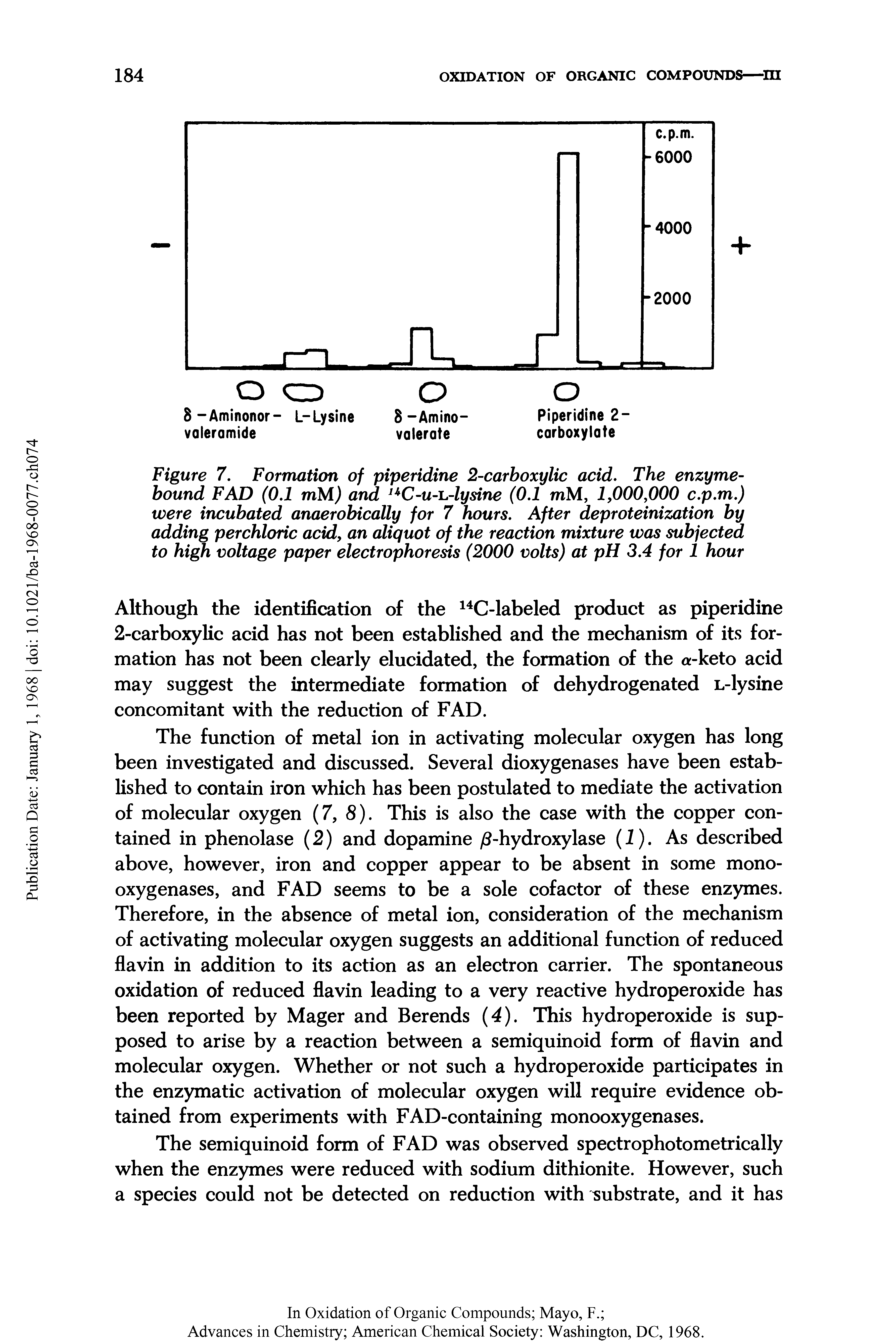 Figure 7. Formation of piperidine 2-carhoxylic acid. The enzyme-bound FAD (0.1 mM) and C-u-L.-lysine (0.1 mM, 1,000,000 c.p.m.) were incubated anaerobically for 7 hours. After deproteinization by adding perchloric acid, an aliquot of the reaction mixture was subjected to hi voltage paper electrophoresis (2000 volts) at pH 3.4 for 1 hour...