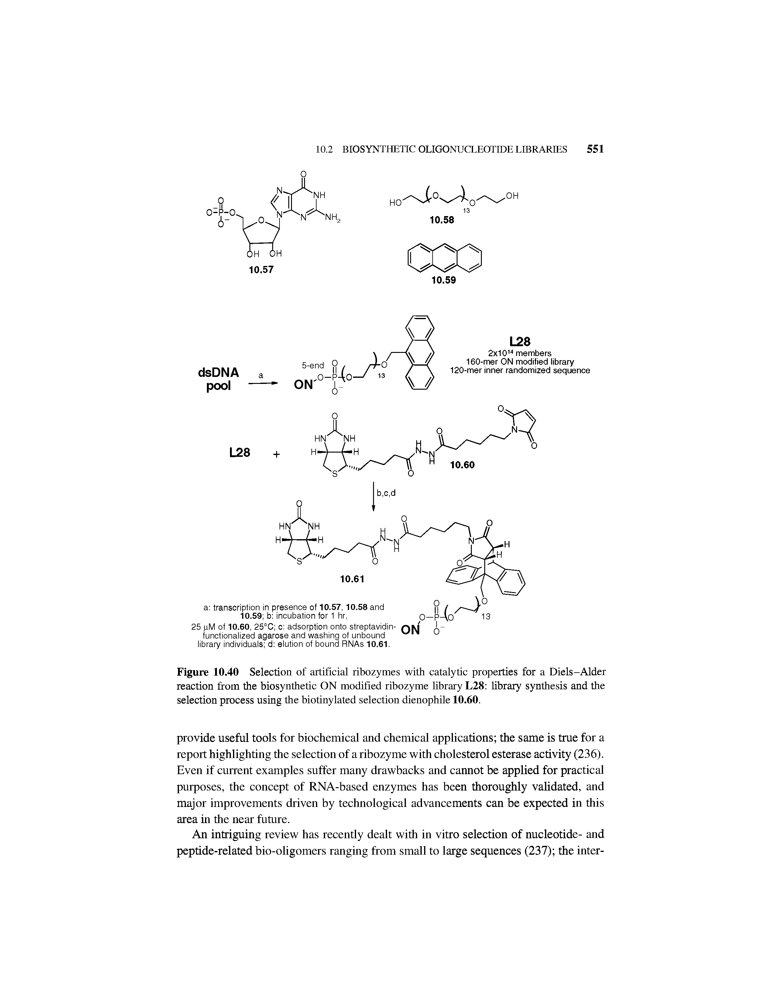 Figure 10.40 Selection of artificial ribozymes with catalytic properties for a Diels-Alder reaction from the biosynthetic ON modified ribozyme library L28 library synthesis and the selection process using the biotinylated selection dienophile 10.60.