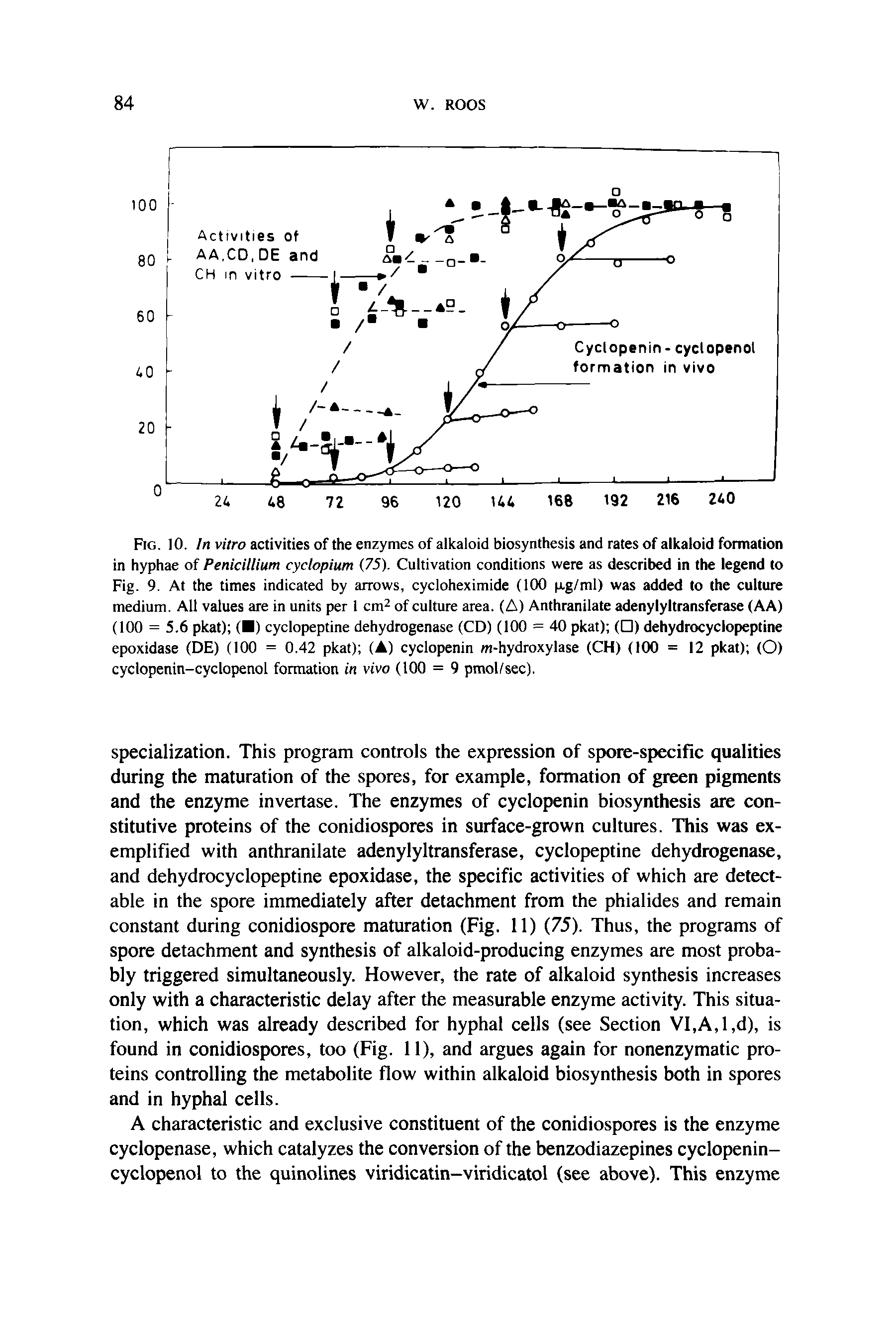 Fig. 10. In vitro activities of the enzymes of alkaloid biosynthesis and rates of alkaloid formation in hyphae of Penicitlium cyclopium (75). Cultivation conditions were as described in the legend to Fig. 9. At the times indicated by arrows, cycloheximide (100 p.g/ml) was added to the culture medium. All values are in units per 1 cm of culture area. (A) Anthranilate adenylyltransferase (AA) (100 = 5.6 pkat) ( ) cyclopeptine dehydrogenase (CD) (100 = 40 pkat) ( ) dehydrocyclopeptine epoxidase (DE) (100 = 0.42 pkat) (A) cyclopenin m-hydroxylase (CH) (100 = 12 pkat) (O) cyclopenin-cyclopenol formation in vivo (100 = 9 pmol/sec).