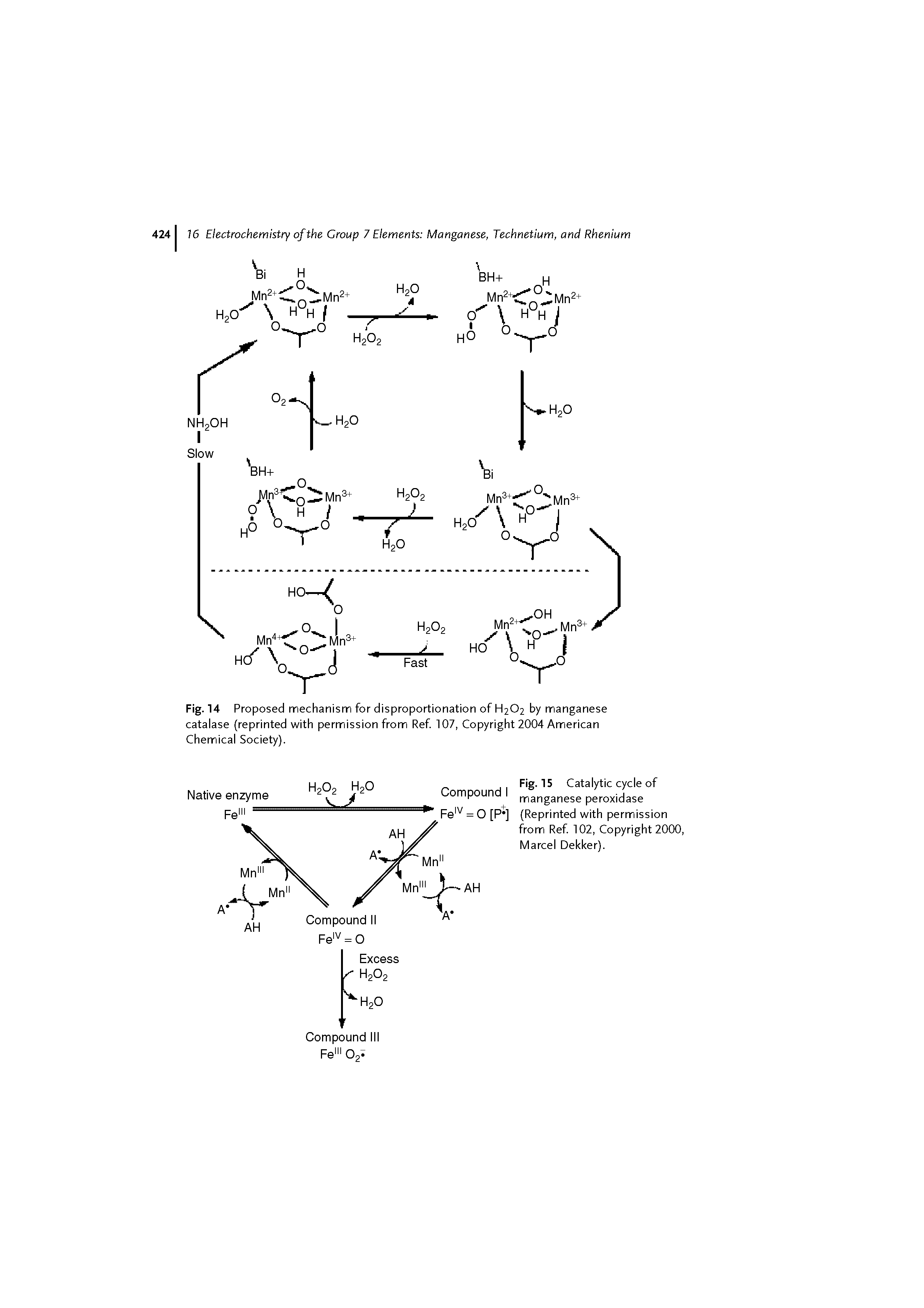 Fig. 14 Proposed mechanism for disproportionation of H2O2 by manganese catalase (reprinted with permission from Ref 107, Copyright 2004 American Chemical Society).