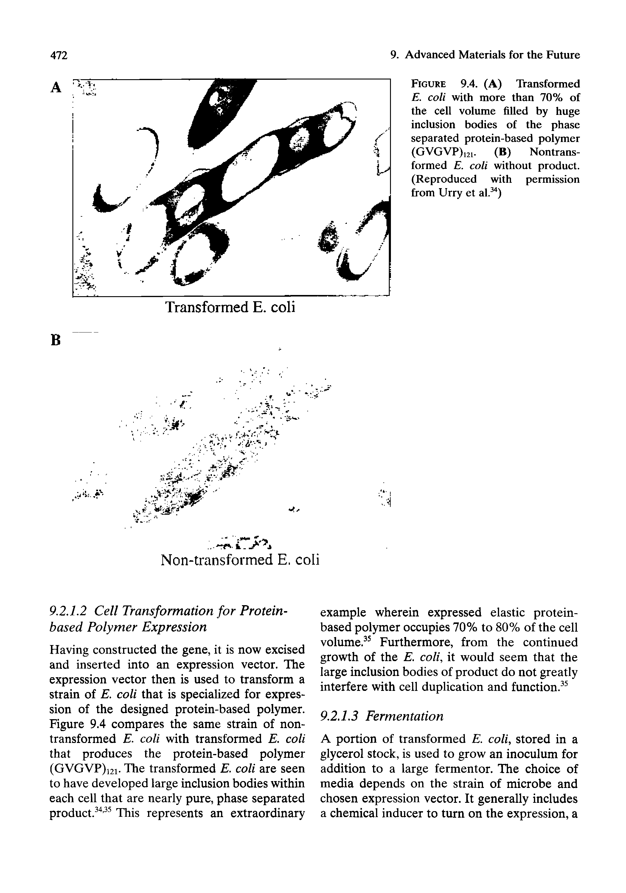 Figure 9.4. (A) Transformed E. coli with more than 70% of the cell volume filled by huge inclusion bodies of the phase separated protein-based polymer (GVGVP)i2i. (B) Nontrans-formed E. coli without product. (Reproduced with permission from Urry et al. )...