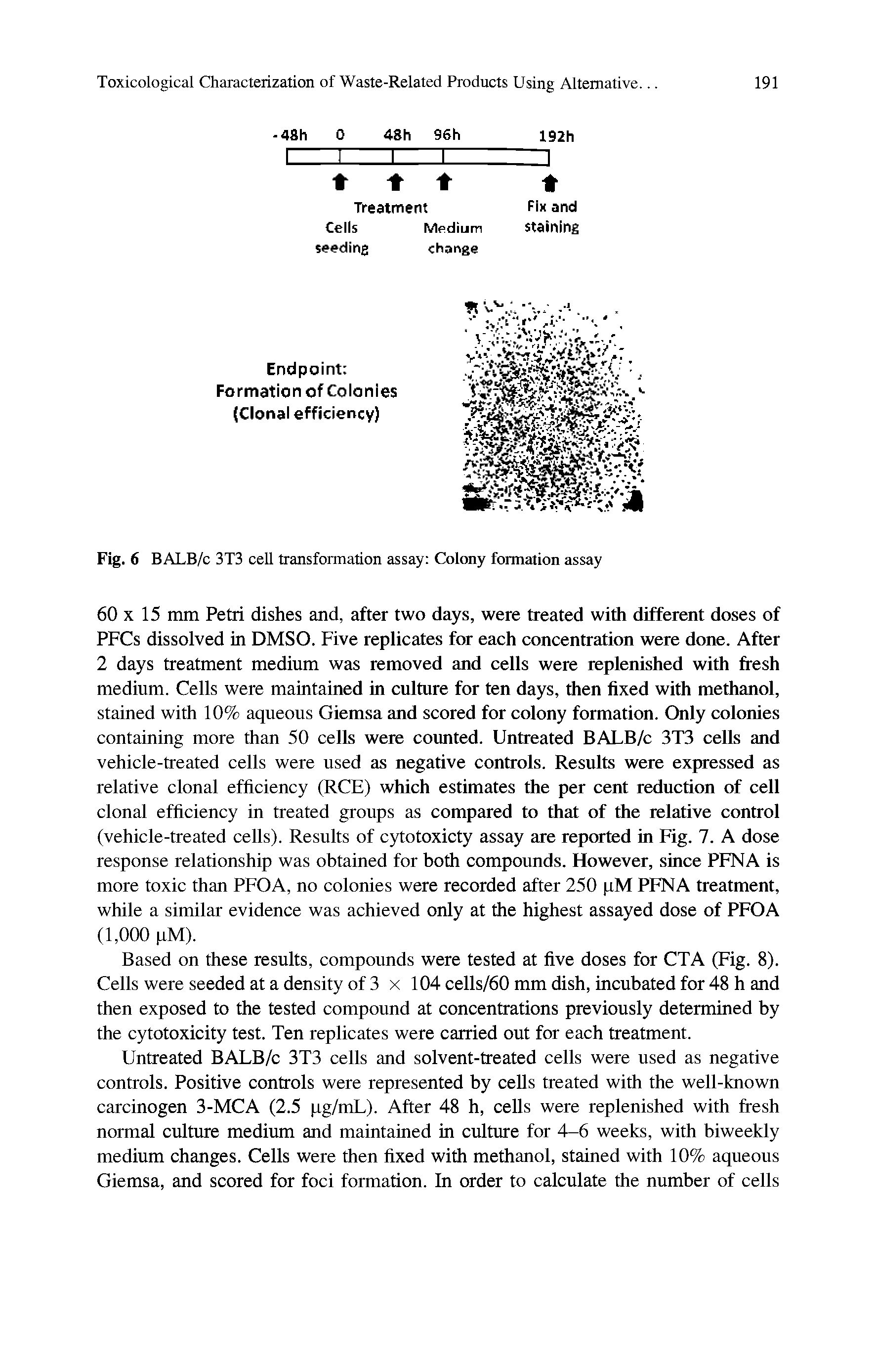 Fig. 6 BALB/c 3T3 cell transformation assay Colony formation assay...