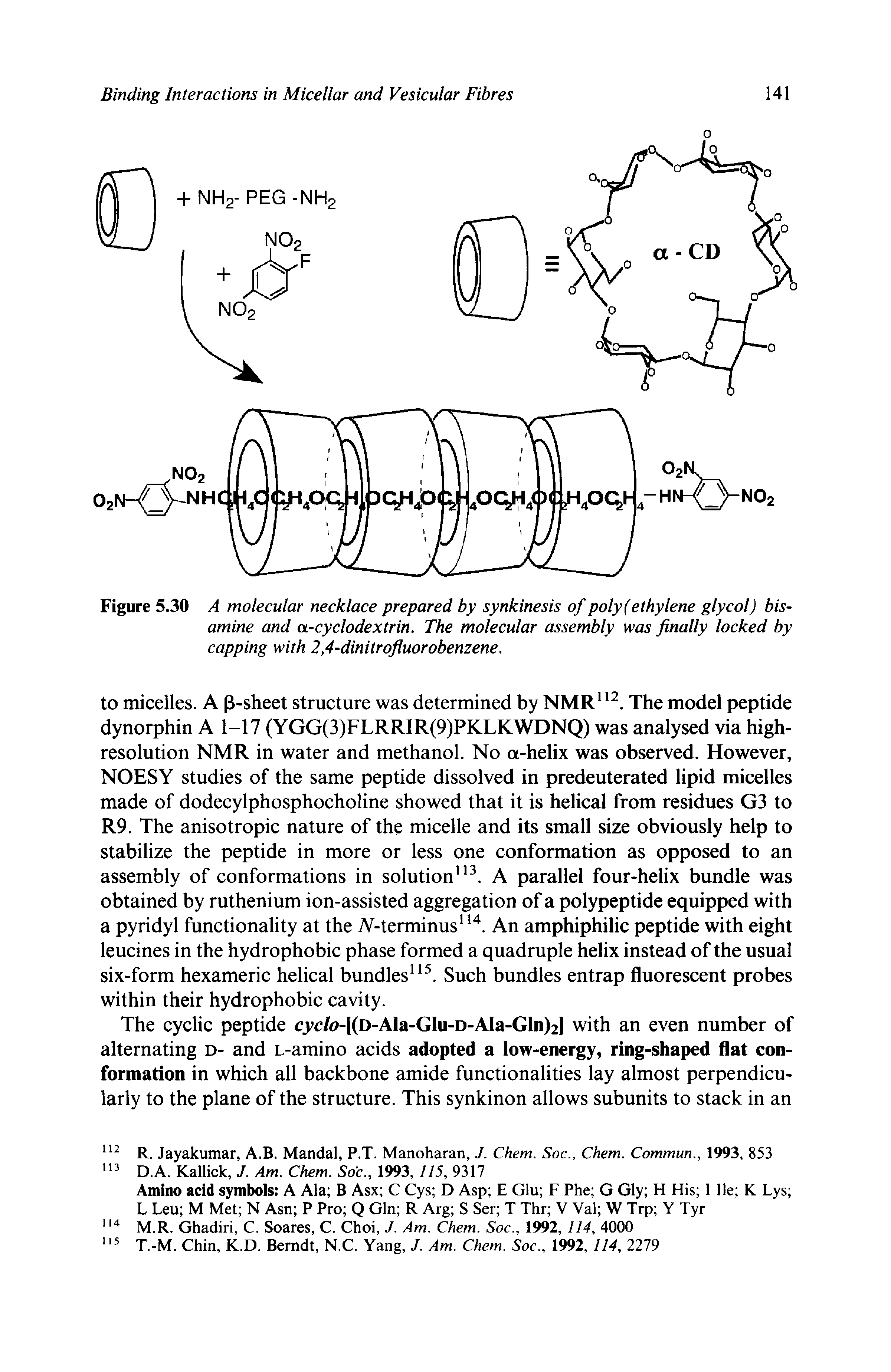 Figure 5.30 A molecular necklace prepared by synkinesis of poly (ethylene glycol) bis-amine and a-cyclodextrin. The molecular assembly was finally locked by capping with 2,4-dinitrofiuorobenzene.
