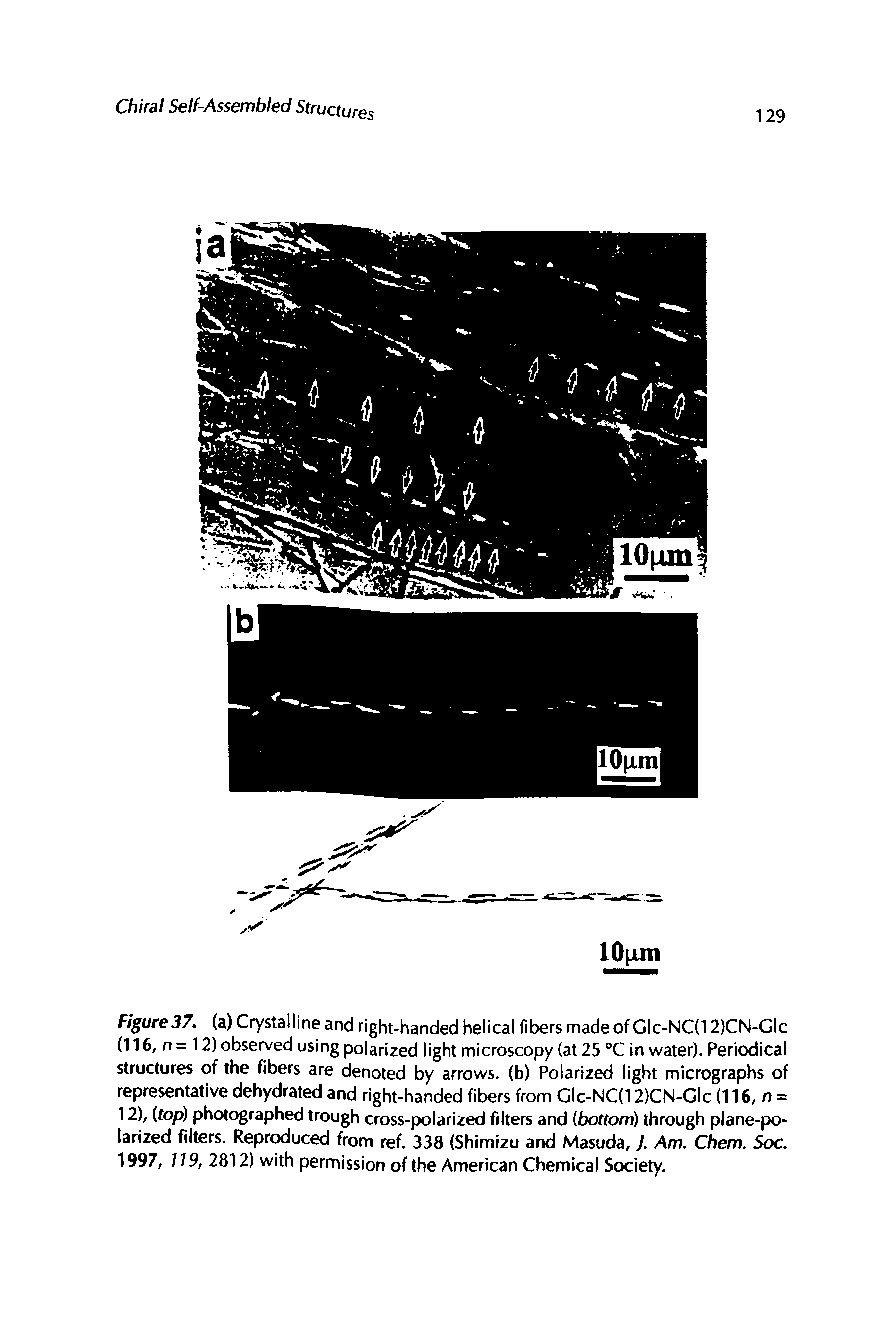 Figure37. (a) Crystalline and right-handed helical fibersmadeofGlc-NC(12)CN-Glc (116, n= 12) observed using polarized light microscopy (at 25 C in water). Periodical structures of the fibers are denoted by arrows, (b) Polarized light micrographs of representative dehydrated and right-handed fibers from Glc-NC(12)CN-Glc (116, rt = 12), (top) photographed trough cross-polarized filters and (bottom) through plane-polarized filters. Reproduced from ref. 338 (Shimizu and Masuda, J. Am. Chem. Soc. 1997, 119,28)2) with permission of the American Chemical Society.