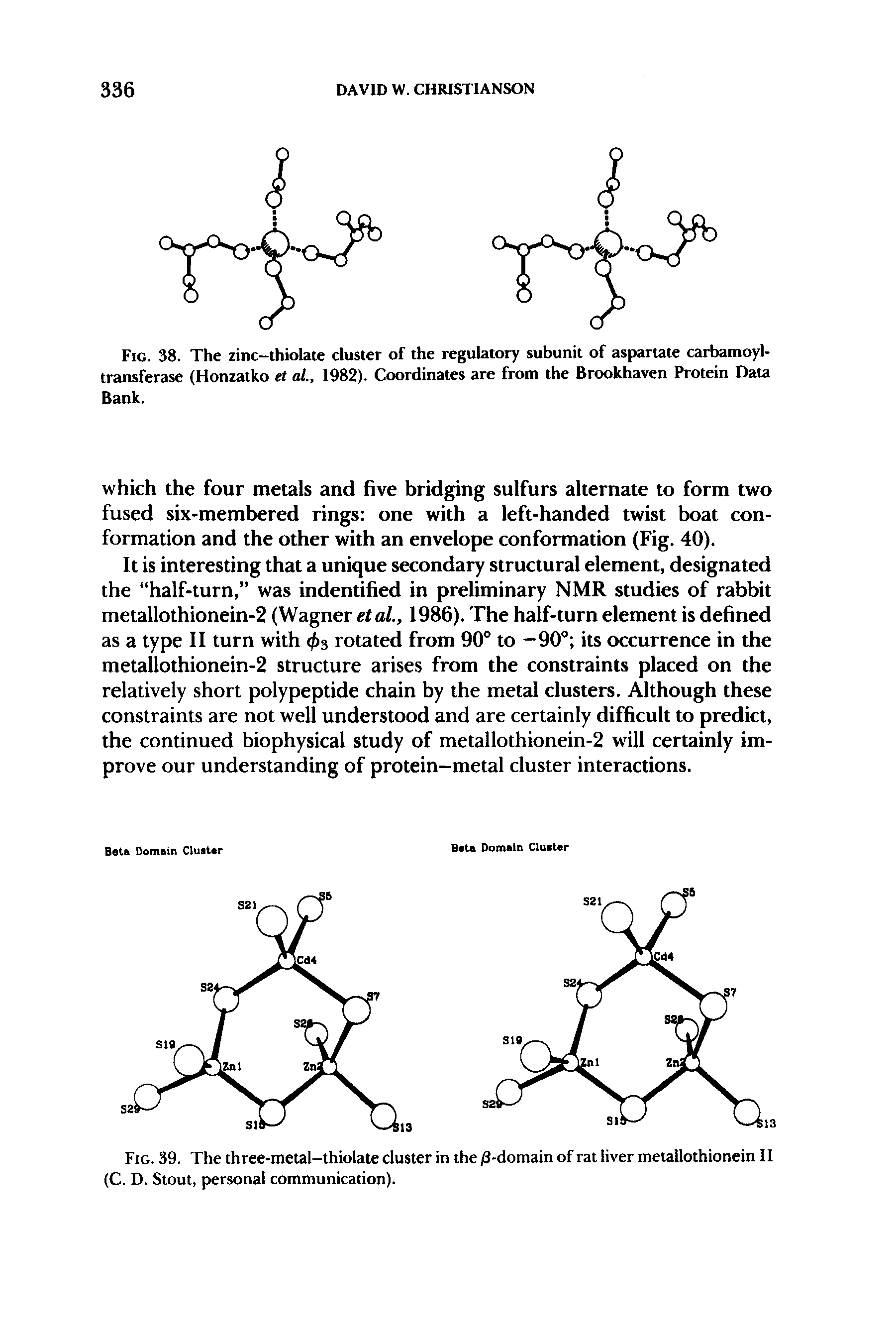 Fig. 38. The zinc-thiolate cluster of the regulatory subunit of aspartate carbamoyl-transferase (Honzatko et al 1982). Coordinates are from the Brookhaven Protein Data Bank.