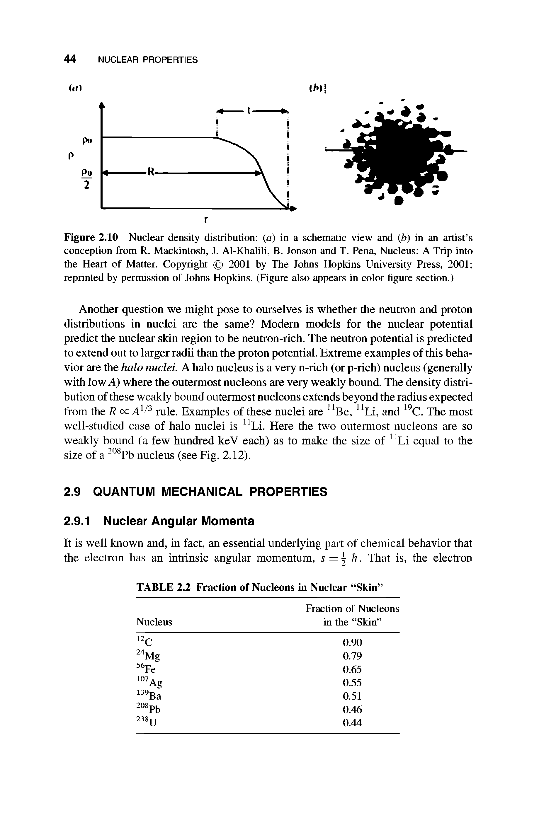 Figure 2.10 Nuclear density distribution (a) in a schematic view and (b) in an artist s conception from R. Mackintosh, J. Al-Khalili, B. Jonson and T. Pena, Nucleus A Trip into the Heart of Matter. Copyright 2001 by The Johns Hopkins University Press, 2001 reprinted by permission of Johns Hopkins. (Figure also appears in color figure section.)...