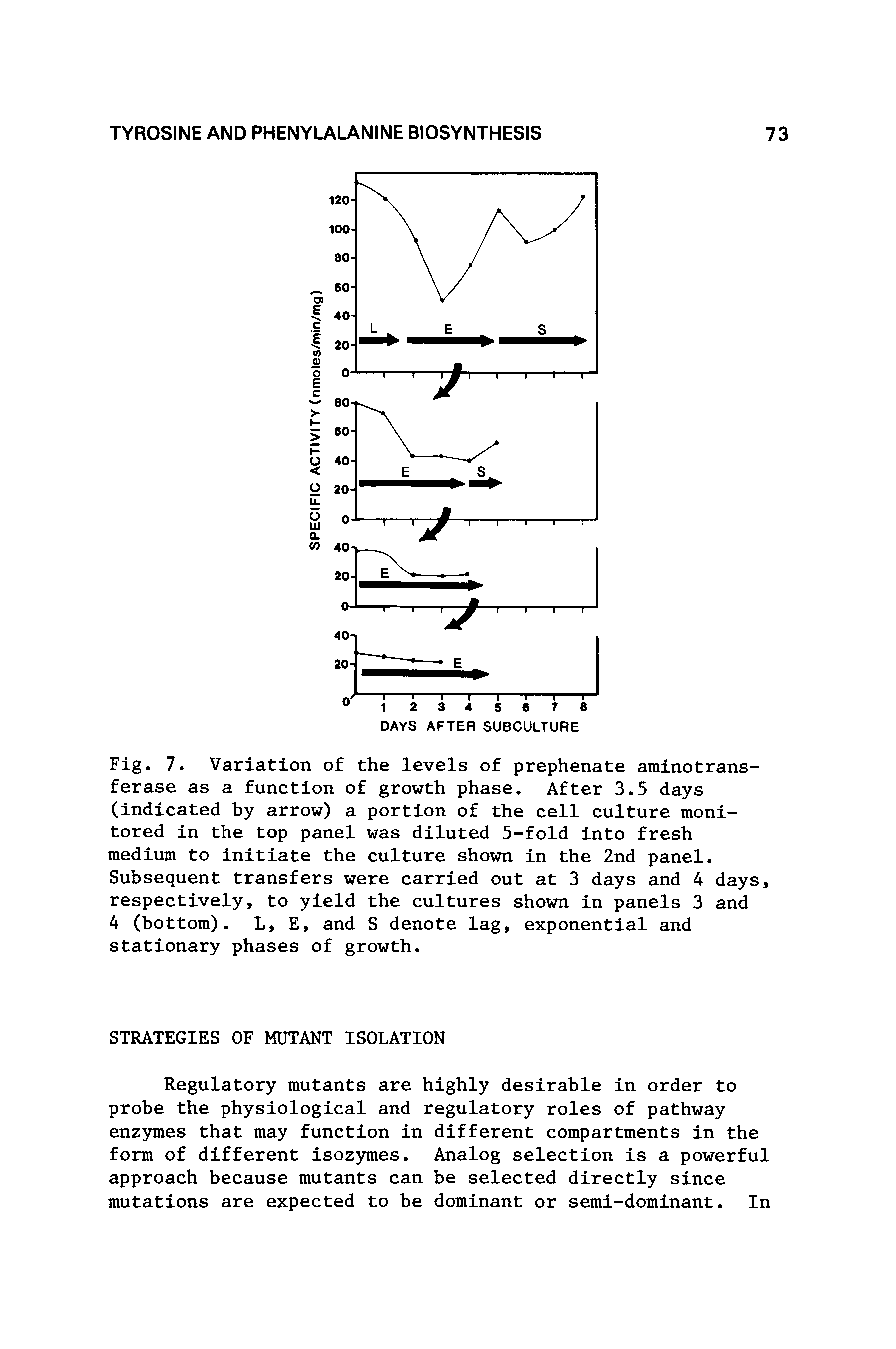 Fig. 7. Variation of the levels of prephenate aminotransferase as a function of growth phase. After 3.5 days (indicated by arrow) a portion of the cell culture monitored in the top panel was diluted 5-fold into fresh medium to initiate the culture shown in the 2nd panel. Subsequent transfers were carried out at 3 days and 4 days, respectively, to yield the cultures shown in panels 3 and 4 (bottom). L, E, and S denote lag, exponential and stationary phases of growth.