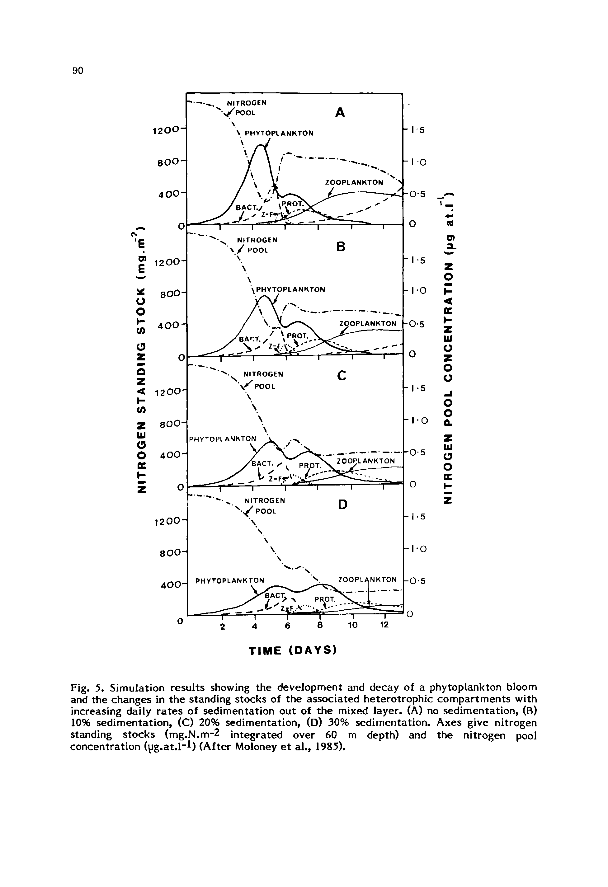 Fig. 5. Simulation results showing the development and decay of a phytoplankton bloom and the changes in the standing stocks of the associated heterotrophic compartments with increasing daily rates of sedimentation out of the mixed layer. (A) no sedimentation, (B) 10% sedimentation, (C) 20% sedimentation, (D) 30% sedimentation. Axes give nitrogen standing stocks (mg.N.m-2 integrated over 60 m depth) and the nitrogen pool concentration (pg.at.l- ) (After Moloney et al., 1985).