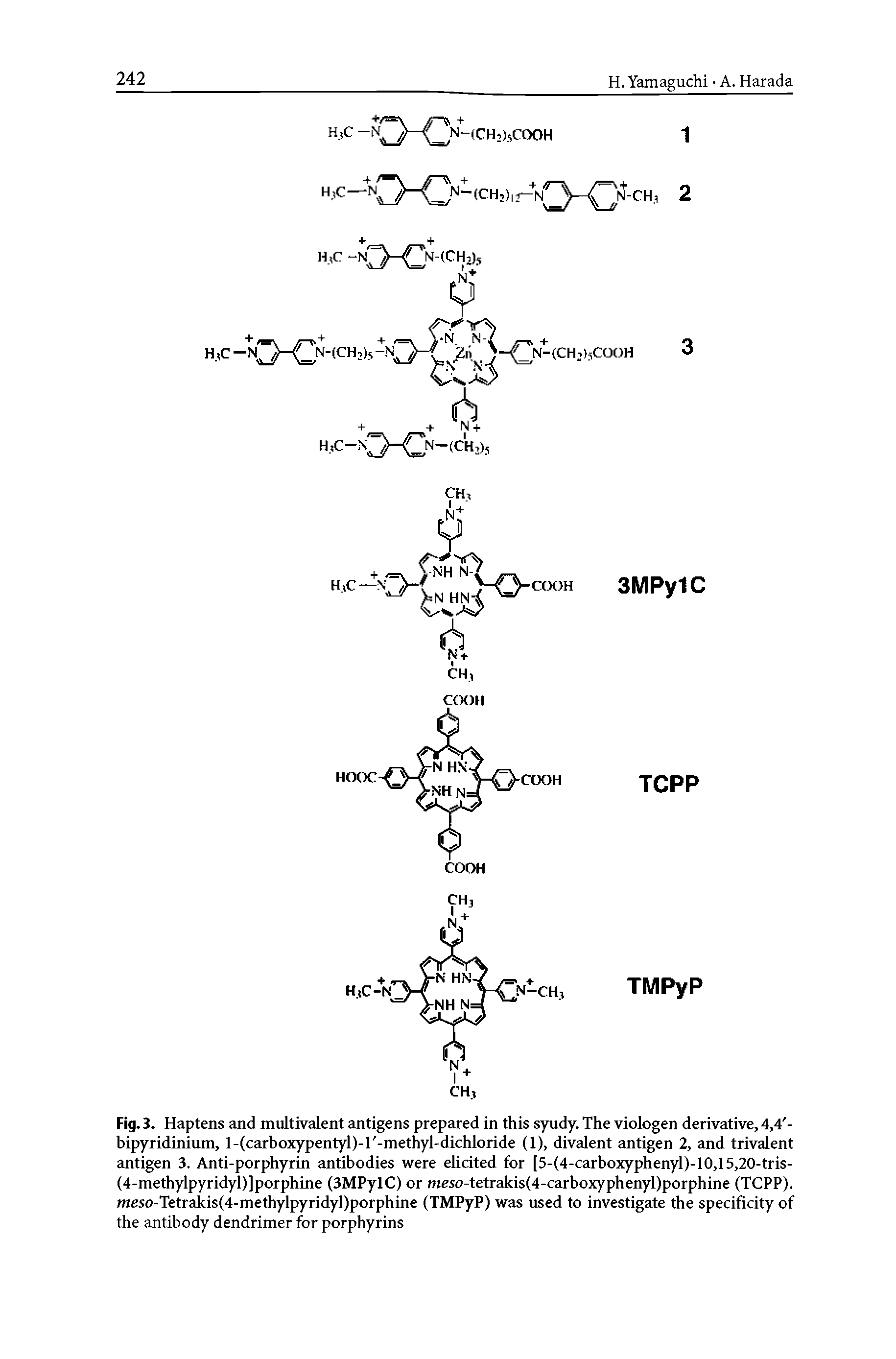 Fig. 3. Haptens and multivalent antigens prepared in this syudy. The viologen derivative, 4,4 -bipyridinium, l-(carboxypentyl)-l -methyl-dichloride (1), divalent antigen 2, and trivalent antigen 3. Anti-porphyrin antibodies were elicited for [5-(4-carboxyphenyl)-10,15,20-tris-(4-methylpyridyl)]porphine (3MPylC) or meso-tetrakis(4-carboxyphenyl)porphine (TCPP). meso-Tetrakis(4-methylpyridyl)porphine (TMPyP) was used to investigate the specificity of the antibody dendrimer for porphyrins...