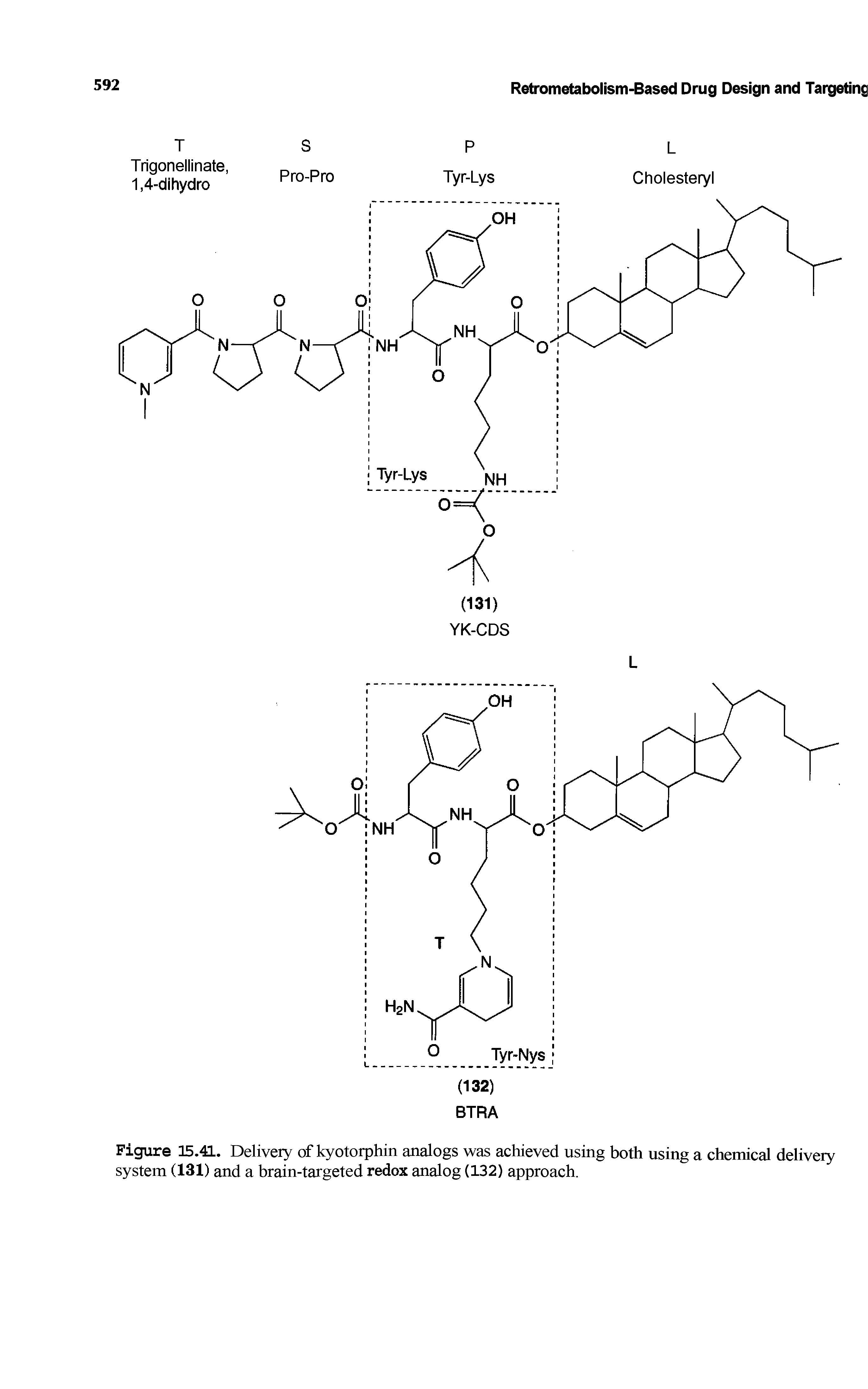 Figure 15.41. Deliveiy of kyotorphin analogs was achieved using both using a chemical delivery system (131) and a brain-targeted redox analog (132) approach.