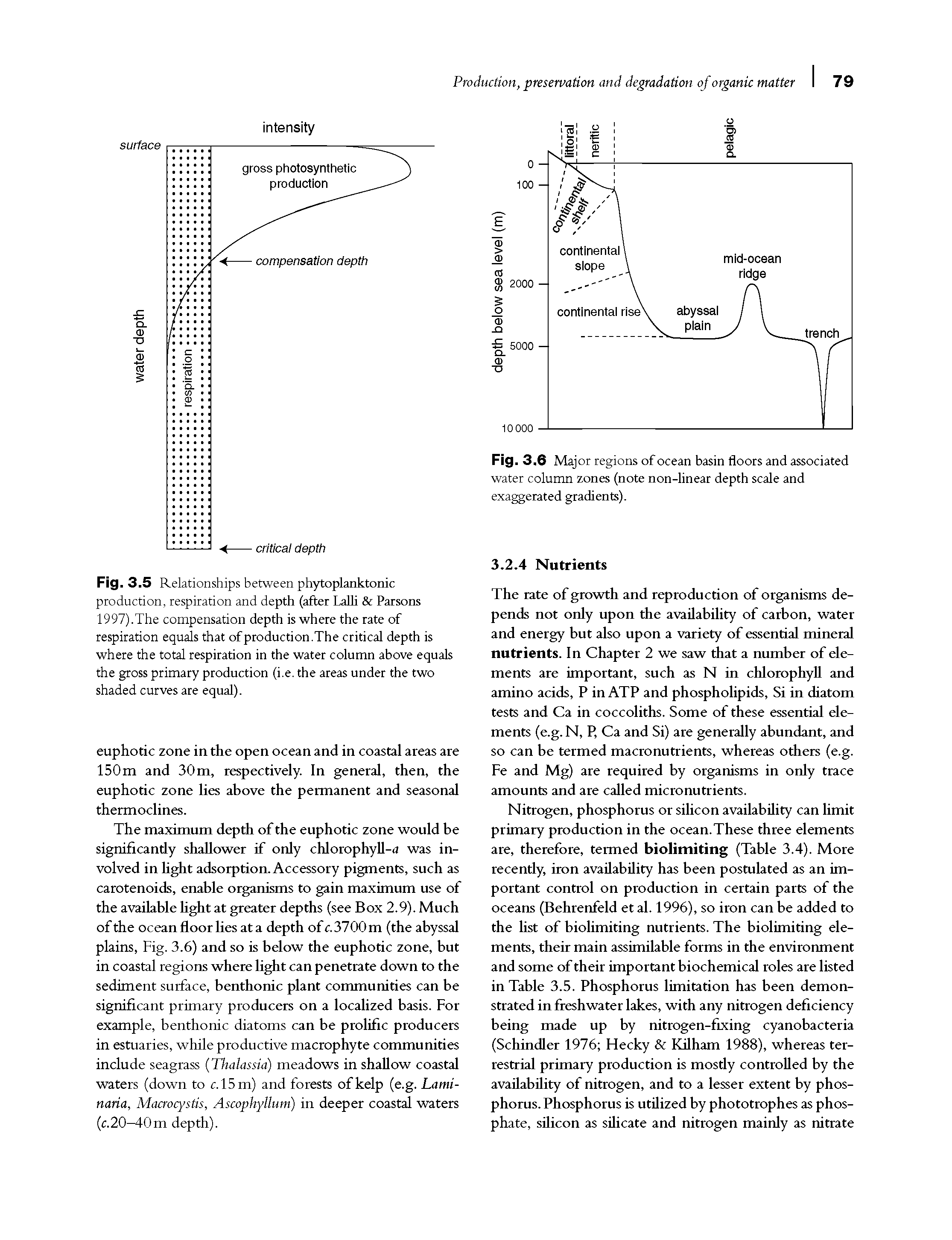 Fig. 3.5 Relationships between phytoplanktonic production, respiration and depth (after Lalii Parsons 1997).The compensation depth is where the rate of respiration equals that of production.The critical depth is where the total respiration in the water column above equals the gross primary production (i.e. the areas under the two shaded curves are equal).