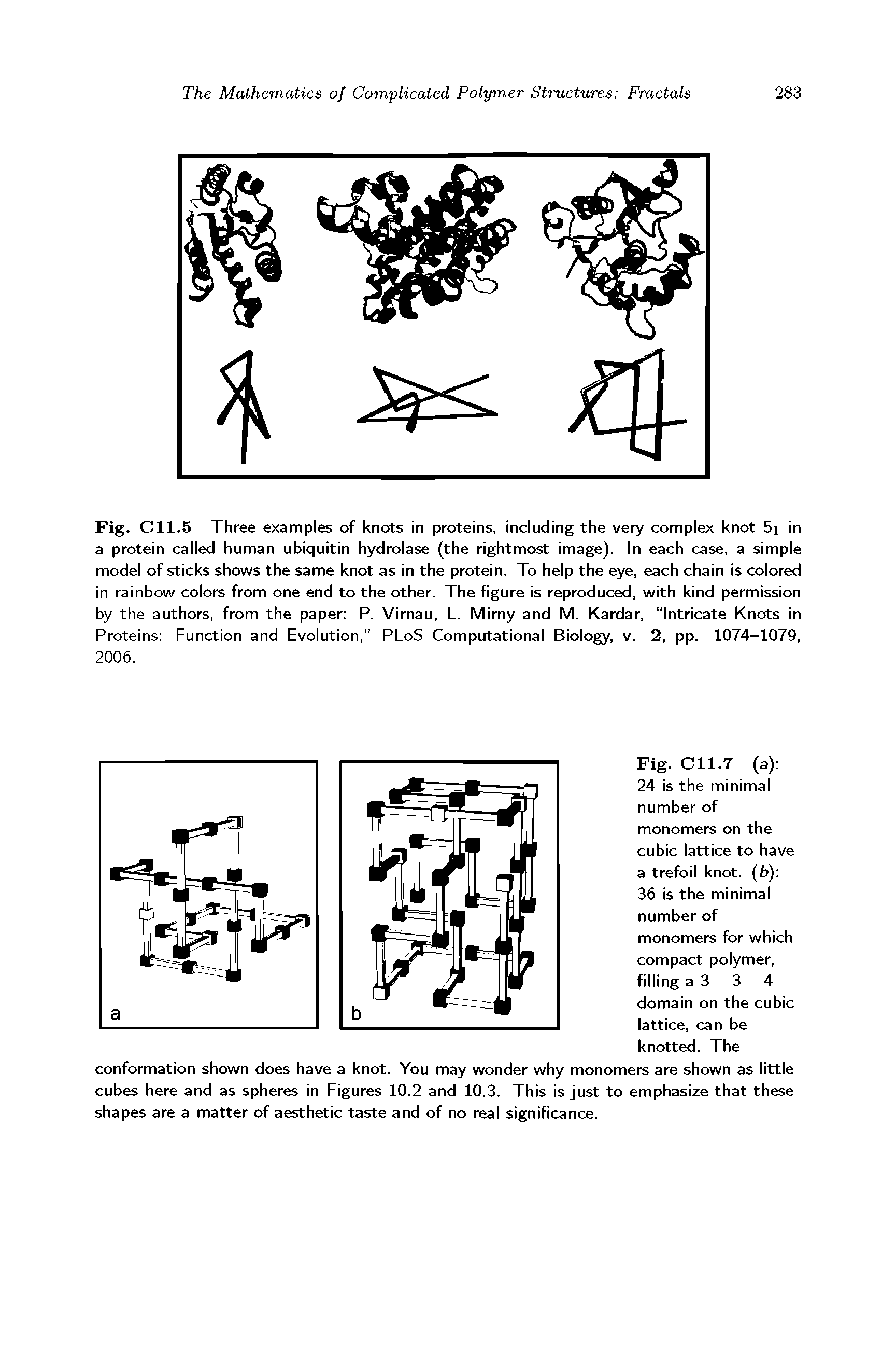 Fig. C11.5 Three examples of knots in proteins, including the very complex knot 5i in a protein called human ubiquitin hydrolase (the rightmost image). In each case, a simple model of sticks shows the same knot as in the protein. To help the eye, each chain is colored in rainbow colors from one end to the other. The figure is reproduced, with kind permission by the authors, from the paper P. Virnau, L. Mirny and M. Kardar, Intricate Knots in Proteins Function and Evolution, PLoS Computational Biology, v. 2, pp. 1074-1079, 2006.