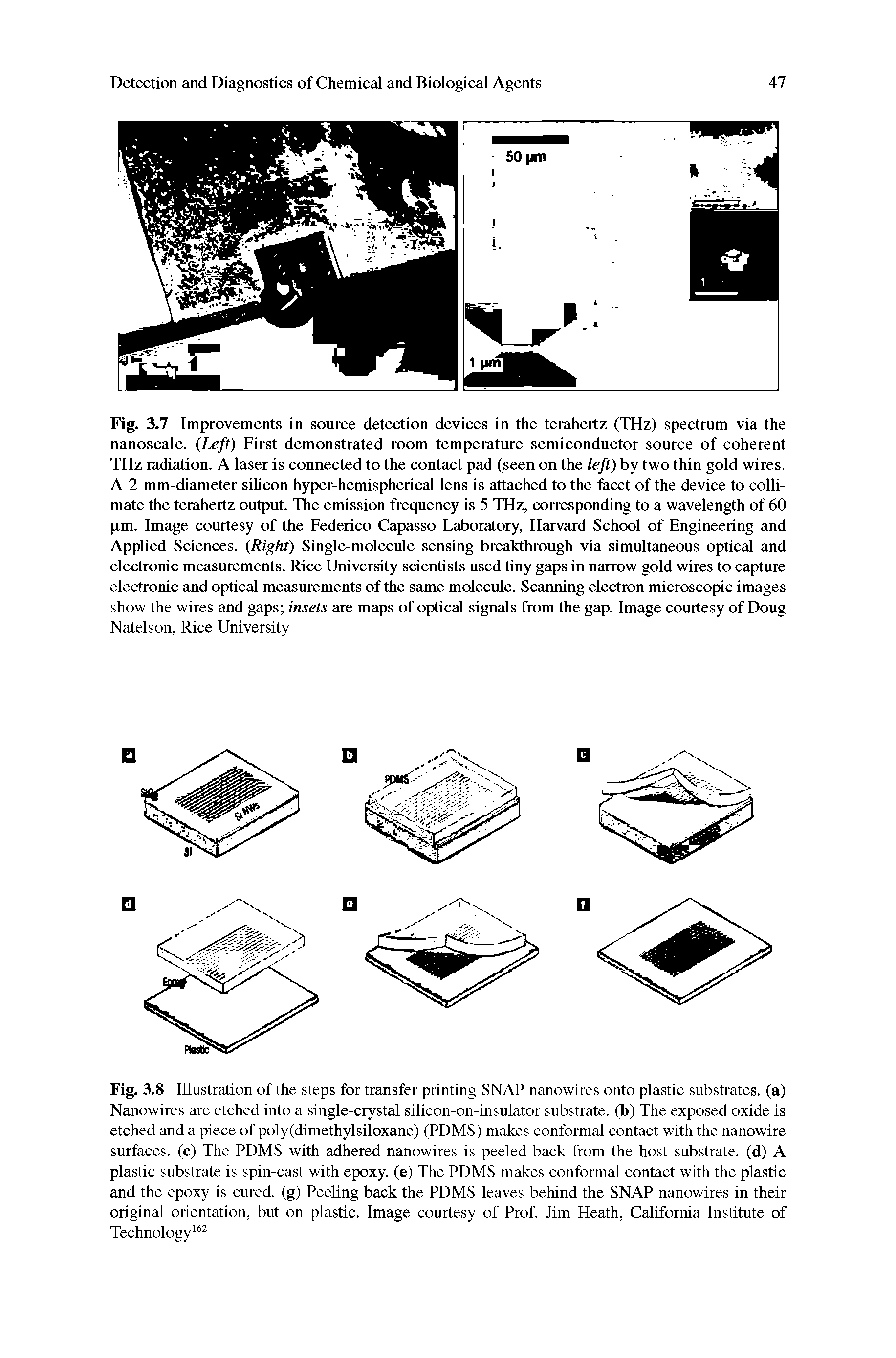 Fig. 3.8 Illustration of the steps for transfer printing SNAP nanowires onto plastic substrates, (a) Nanowires are etched into a single-crystal sihcon-on-msulator substrate, (b) The exposed oxide is etched and a piece of poly(dimethylsiloxane) (PDMS) makes conformal contact with the nanowire surfaces, (c) The PDMS with adhered nanowires is peeled back from the host substrate, (d) A plastic substrate is spin-cast with epoxy, (e) The PDMS makes conformal contact with the plastic and the epoxy is cured, (g) Peeling back the PDMS leaves behind the SNAP nanowires in their original orientation, but on plastic. Image courtesy of Prof. Jim Heath, California Institute of Technology ...