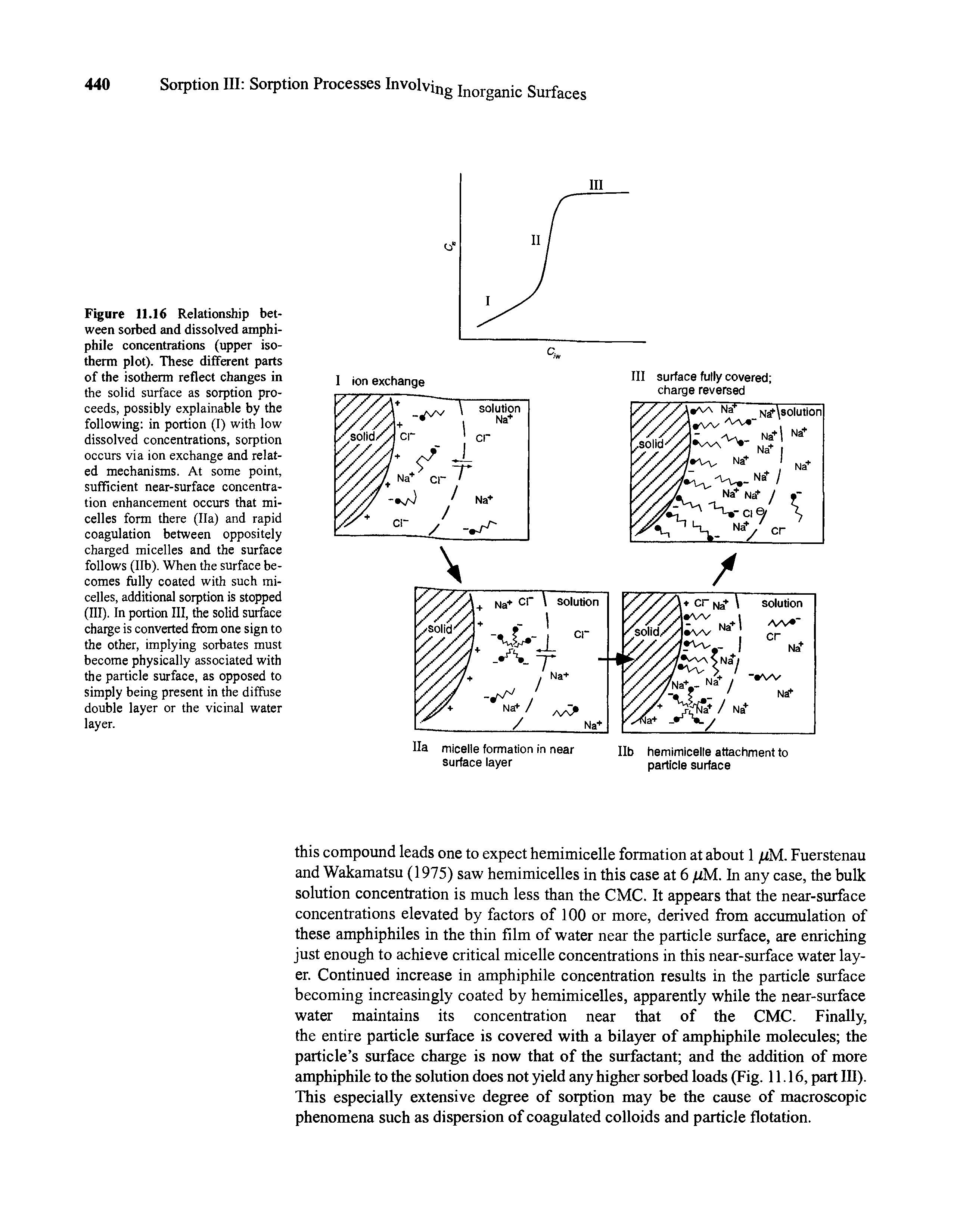 Figure 11.16 Relationship between sorbed and dissolved amphi-phile concentrations (upper isotherm plot). These different parts of the isotherm reflect changes in the solid surface as sorption proceeds, possibly explainable by the following in portion (I) with low dissolved concentrations, sorption occurs via ion exchange and related mechanisms. At some point, sufficient near-surface concentration enhancement occurs that micelles form there (Ha) and rapid coagulation between oppositely charged micelles and the surface follows (lib). When the surface becomes fLilly coated with such micelles, additional sorption is stopped (III). In portion III, the solid surface charge is converted from one sign to the other, implying sorbates must become physically associated with the particle surface, as opposed to simply being present in the diffuse double layer or the vicinal water layer.