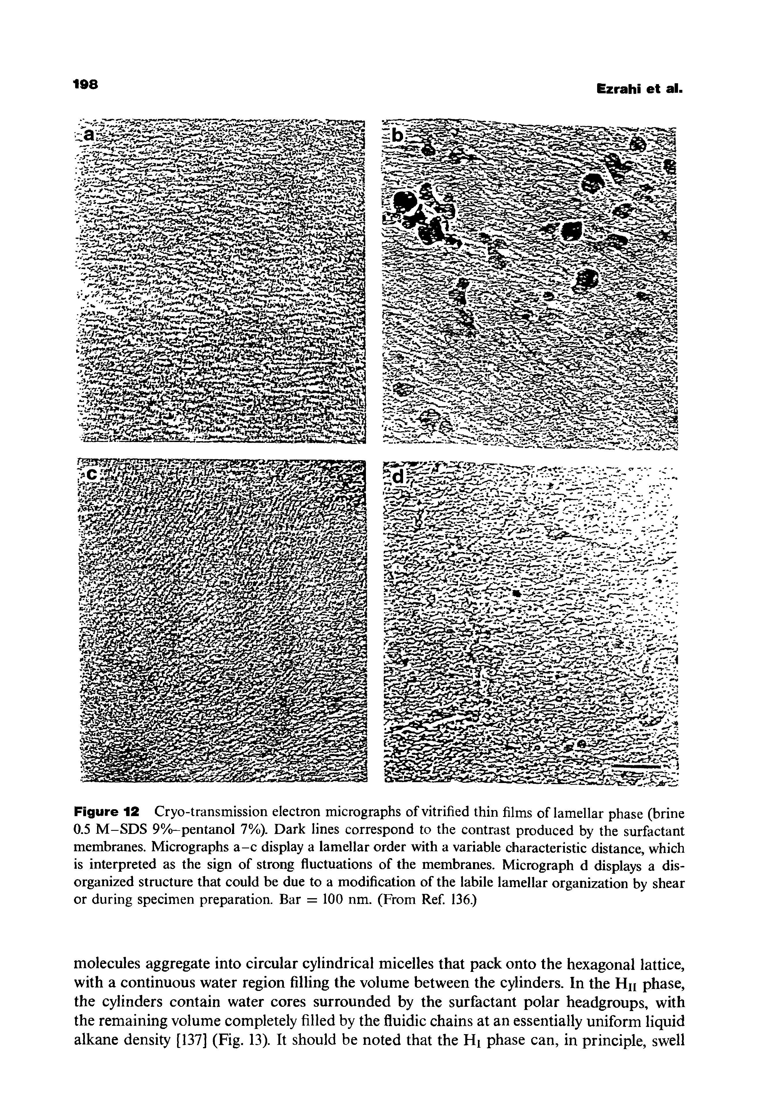 Figure 12 Cryo-transmission electron micrographs of vitrified thin films of lamellar phase (brine 0.5 M-SDS 9%-pentanol 7%). Dark lines correspond to the contrast produced by the surfactant membranes. Micrographs a-c display a lamellar order with a variable characteristic distance, which is interpreted as the sign of strong fluctuations of the membranes. Micrograph d displays a disorganized structure that could be due to a modification of the labile lamellar organization by shear or during specimen preparation. Bar = 100 nm. (From Ref. 136.)...