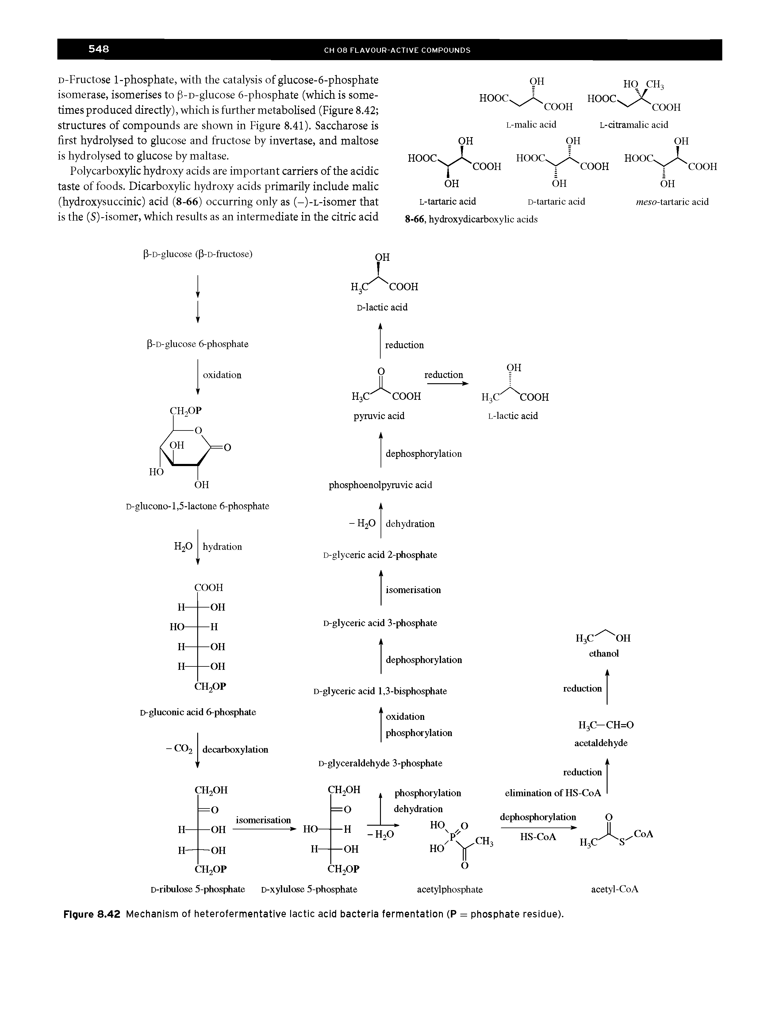 Figure 8.42 Mechanism of heterofermentative lactic acid bacteria fermentation (P = phosphate residue).