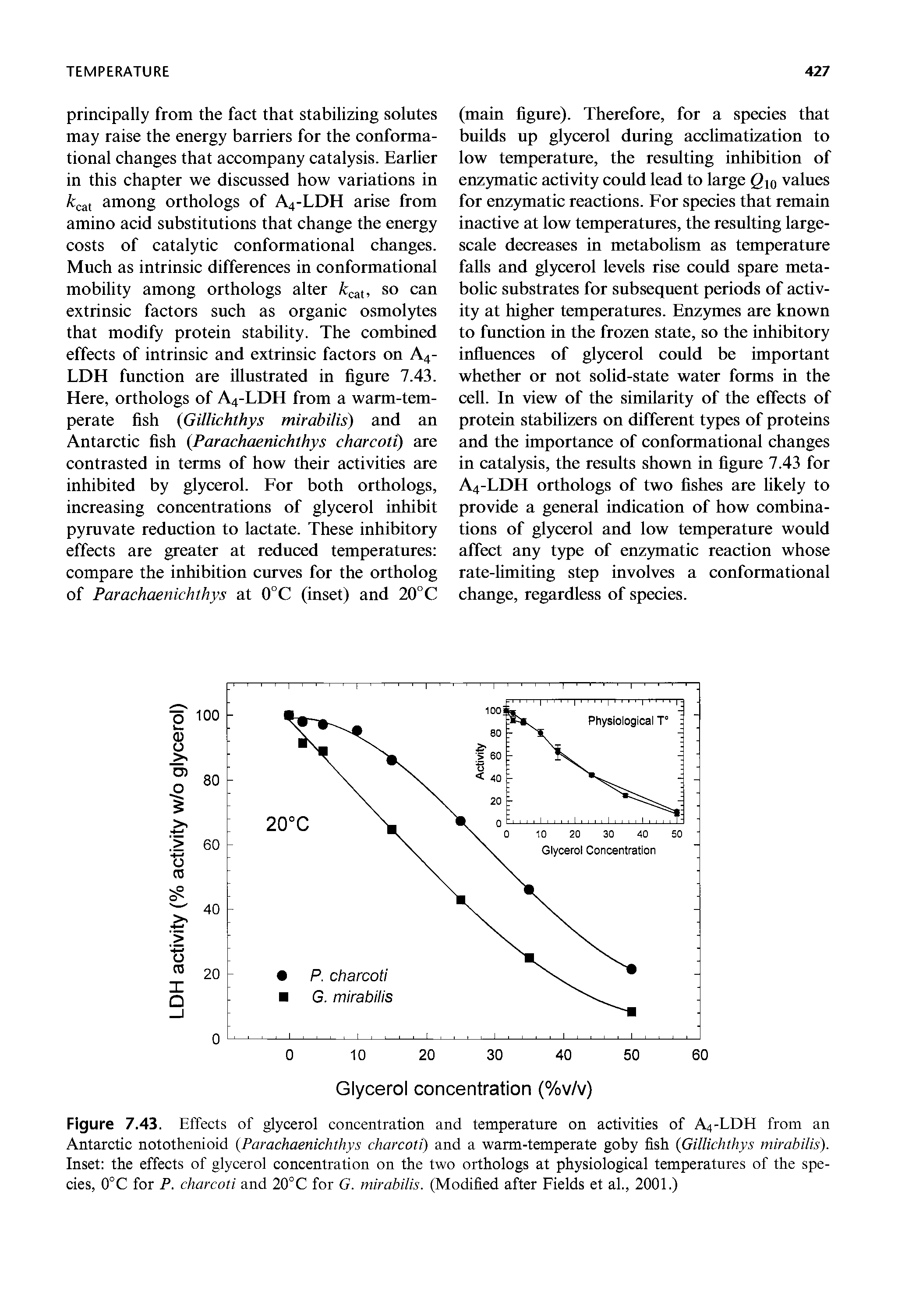 Figure 7.43. Effects of glycerol concentration and temperature on activities of A4-LDH from an Antarctic notothenioid (Parachaenichthys charcoti) and a warm-temperate goby fish (Gillichthys mirabilis). Inset the effects of glycerol concentration on the two orthologs at physiological temperatures of the species, 0°C for P. charcoti and 20°C for G. mirabilis. (Modified after Fields et al., 2001.)...