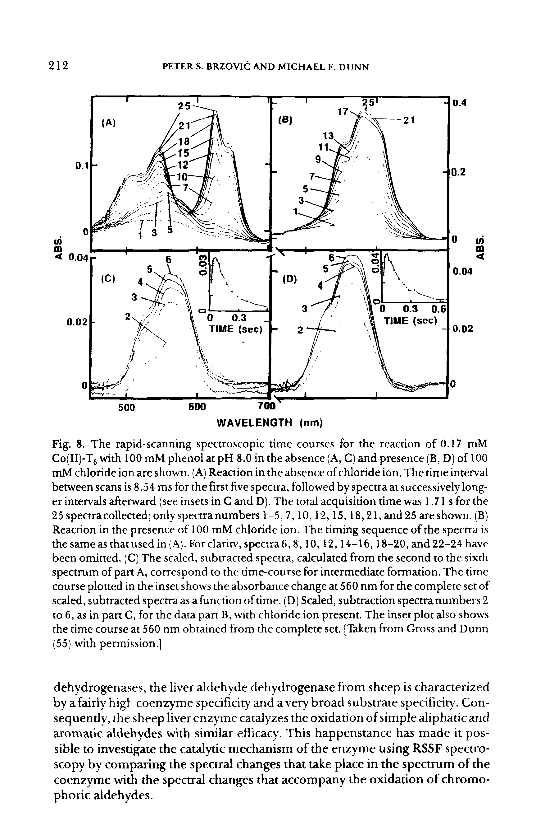 Fig. 8. The rapid-scanning spectroscopic time courses for the reaction of 0.17 mM Co(II)-T6 with 100 mM phenol at pH 8.0 in the absence (A, C) and presence (B, D) of 100 mM chloride ion are shown. (A) Reaction in the absence of chloride ion. The time interval between scans is 8.54 ms for the first five spectra, followed by spectra at successively longer intervals afterward (see insets in C and D). The total acquisition time was 1.71 s for the 25 spectra collected only spectra numbers 1-5,7,10,12,15,18,21, and 25 are shown. (B) Reaction in the presence of 100 mM chloride ion. The timing sequence of the spectra is the same as that used in (A). For clarity, spectra 6, 8,10,12,14-16, 18-20, and 22-24 have been omitted. (C) The scaled, subtracted spectra, calculated from the second to the sixth spectrum of part A, correspond to the time-course for intermediate formation. The time course plotted in the inset shows the absorbance change at 560 nm for the complete set of scaled, subtracted spectra as a function of time. (D) Scaled, subtraction spectra numbers 2 to 6, as in part C, for the data part B, with chloride ion present. The inset plot also shows the time course at 560 nm obtained from the complete set. (Taken from Gross and Dunn (55) with permission.]...