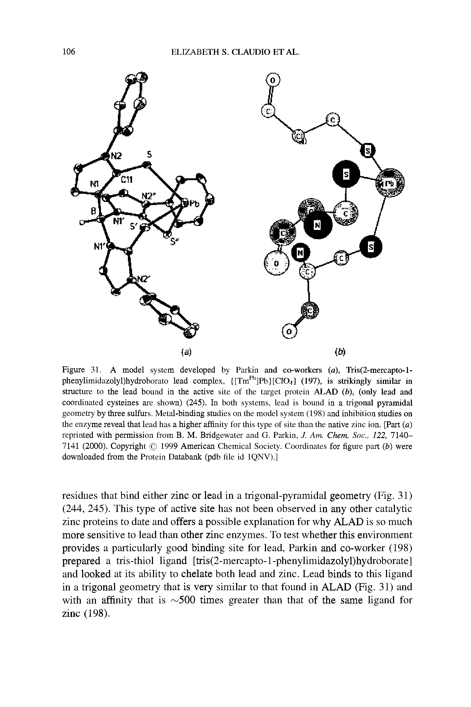 Figure 31. A model system developed by Parkin and co-workers (a), Tris(2-mercapto-l-phenylimidazolyl)hydroborato lead complex, [Tm ]Pb [C104] (197), is strikingly similar in structure to the lead bound in the active site of the target protein ALAD (b), (only lead and coordinated cysteines are shown) (245). In both systems, lead is bound in a trigonal pyramidal geometry by three sulfurs. Metal-binding studies on the model system (198) and inhibition studies on the enzyme reveal that lead has a higher affinity for this type of site than the native zinc ion. [Part (a) reprinted with permission from B. M. Bridgewater and G. Parkin, J. Am. Chem. Soc., 122, 7140-7141 (2000). Copyright 1999 American Chemical Society. Coordinates for figure part b) were downloaded from the Protein Databank (pdb file id IQNV).]...