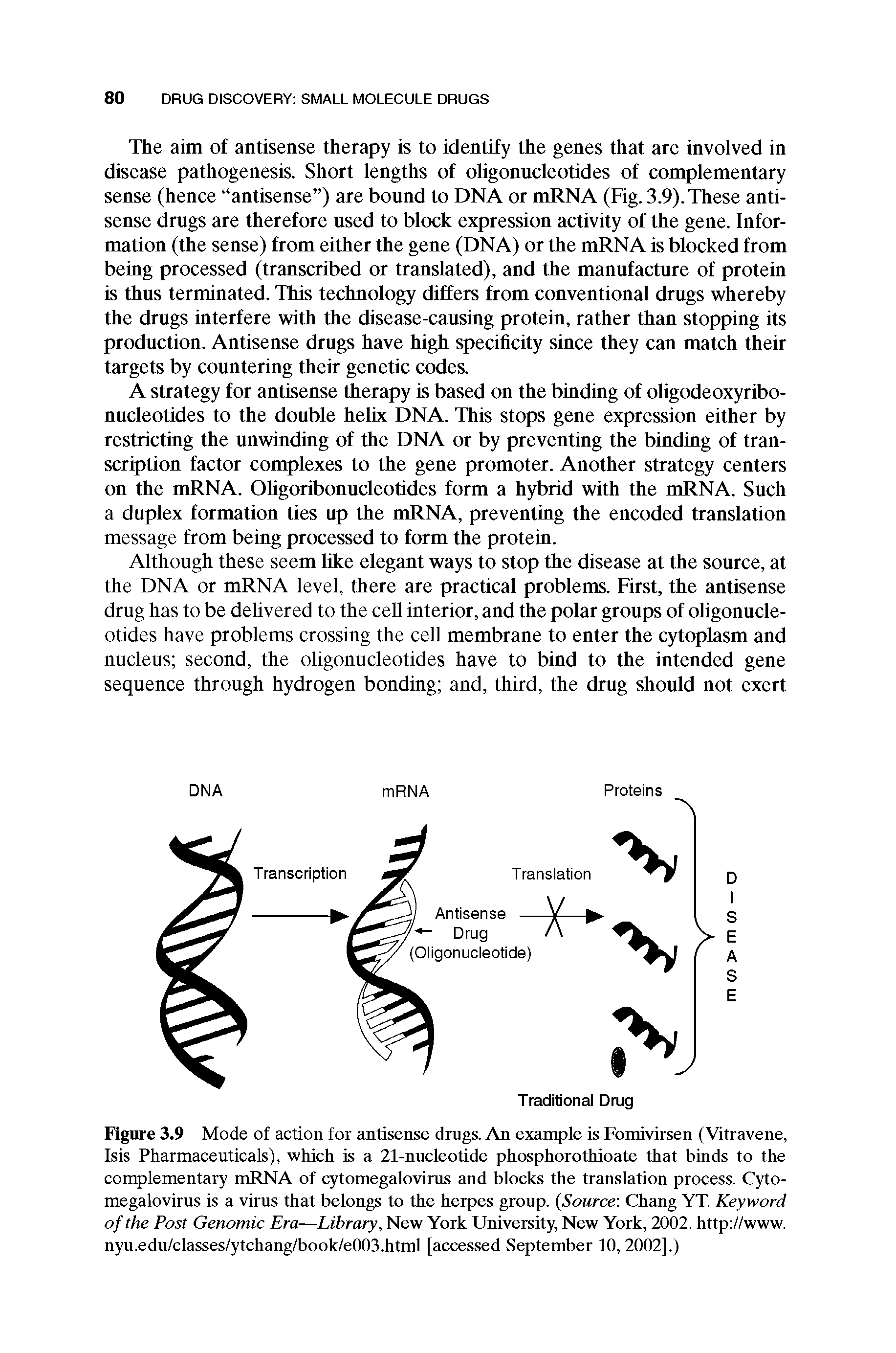 Figure 3.9 Mode of action for antisense drags. An example is Fomivirsen (Vitravene, Isis Pharmaceuticals), which is a 21-nucleotide phosphorothioate that binds to the complementary mRNA of cytomegalovirus and blocks the translation process. Cytomegalovirus is a virus that belongs to the herpes group. (Source Chang YT. Keyword of the Post Genomic Era—Library, New York University, New York, 2002. http //www. nyu.edu/classes/ytchang/book/e003.html [accessed September 10, 2002].)...