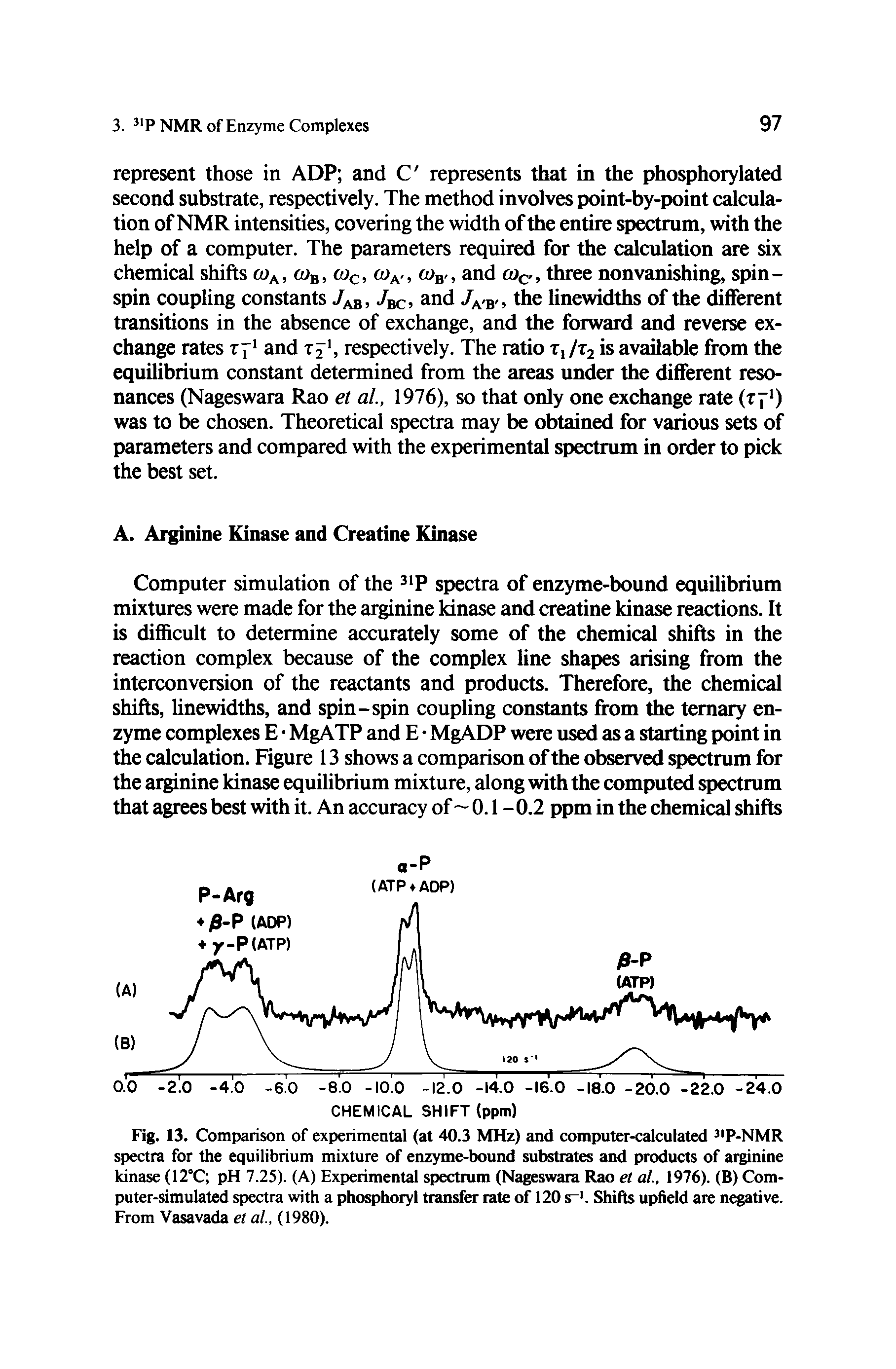 Fig. 13. Comparison of experimental (at 40.3 MHz) and computer-calculated P-NMR spectra for the equilibrium mixture of enzyme-bound substrates and products of arginine kinase (12 C pH 7.25). (A) Experimental spectrum (Nageswara Rao et al., 1976). (B) Computer-simulated spectra with a phosphoryl transfer rate of 120 s >. Shifts upheld are negative. From Vasavada et al., (1980).