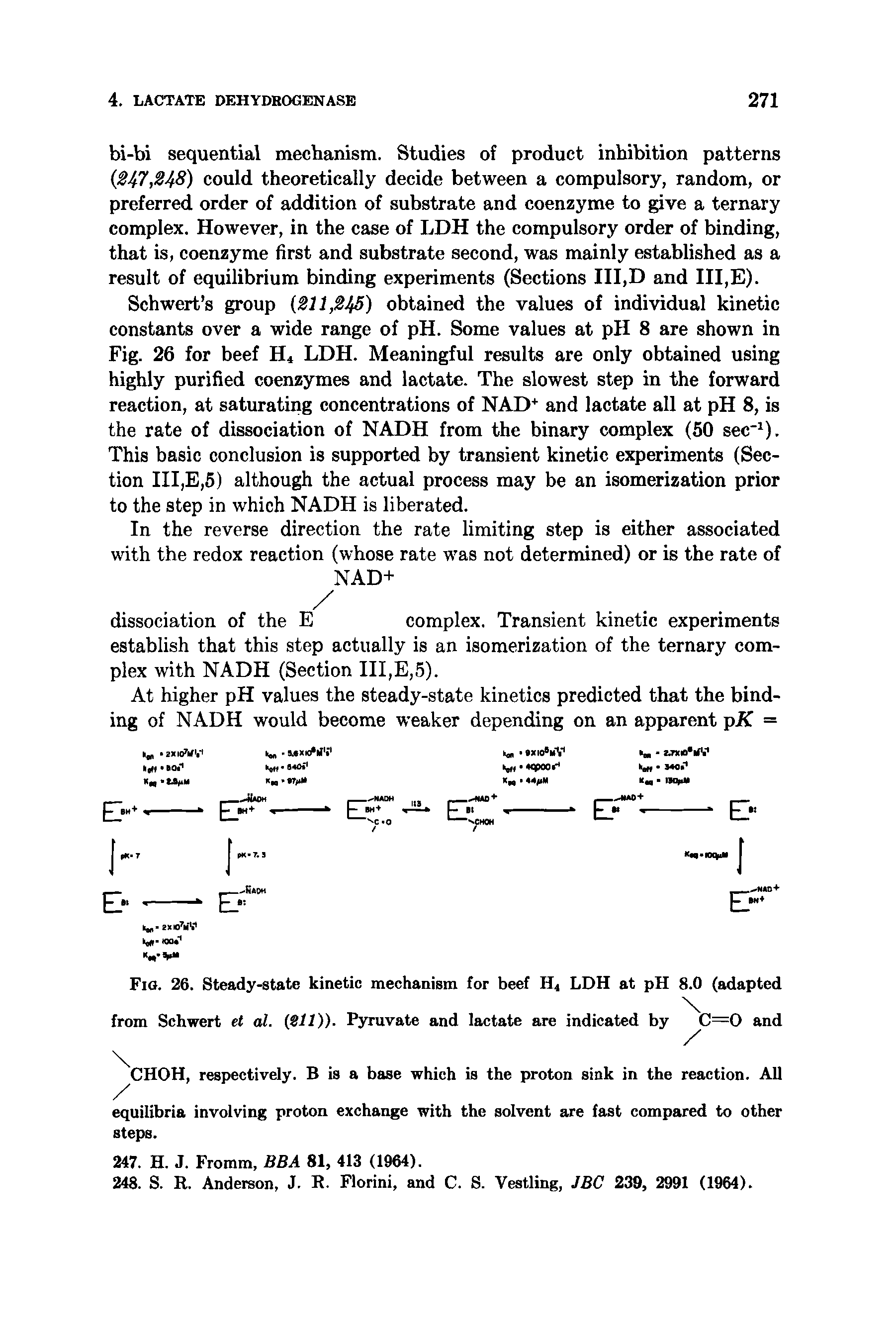 Fig. 26. Steady-state kinetic mechanism for beef Hi LDH at pH 8.0 (adapted from Schwert et al. (SlI)). Pyruvate and lactate are indicated by C=0 and...