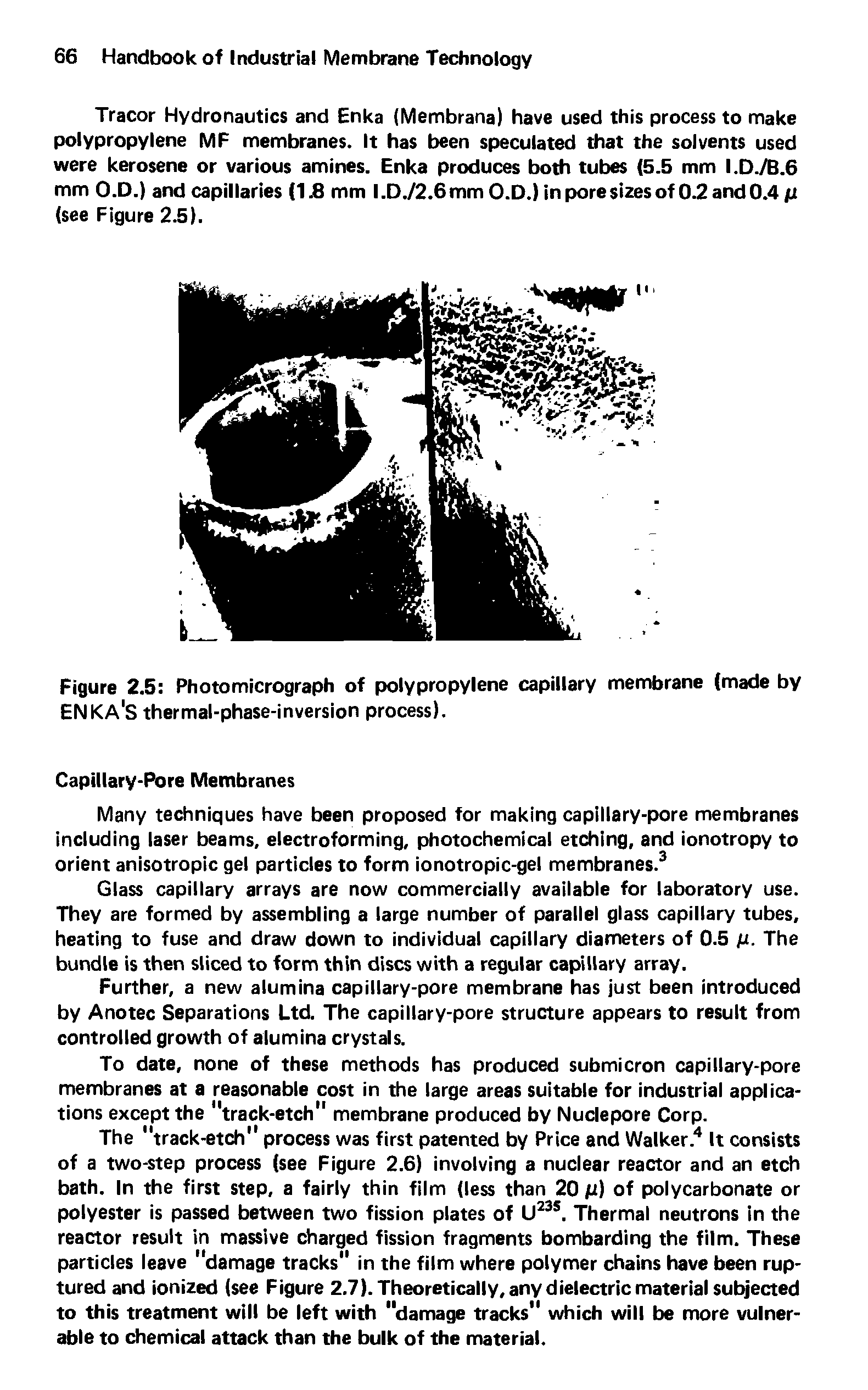 Figure 2.5 Photomicrograph of polypropylene capillary membrane (made by ENKA S thermal-phase-inversion process).