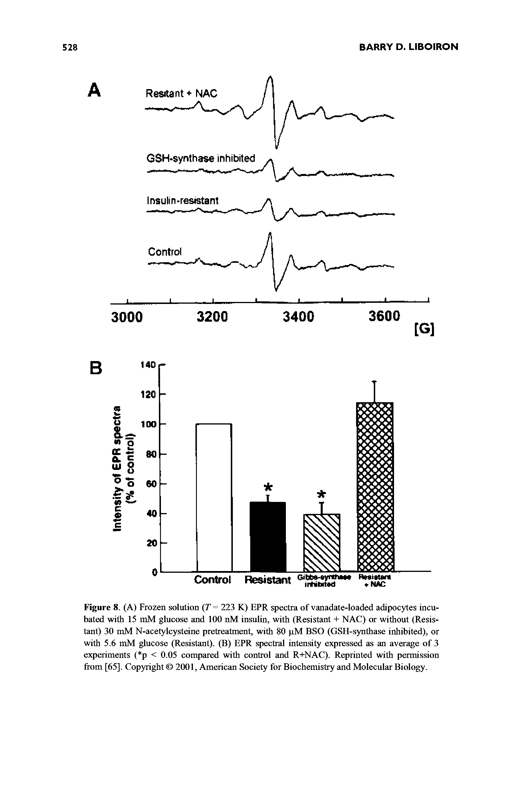 Figure 8. (A) Frozen solution (T = 223 K) EPR spectra of vanadate-loaded adipocytes incubated with 15 mM glucose and 100 nM insulin, with (Resistant + NAC) or without (Resistant) 30 mM N-acetylcysteine pretreatment, with 80 pM BSO (GSH-synthase inhibited), or with 5.6 mM glucose (Resistant). (B) EPR spectral intensity expressed as an average of 3 experiments ( p < 0.05 compared with control and R+NAC). Reprinted with permission from [65]. Copyright 2001, American Society for Biochemistry and Molecular Biology.