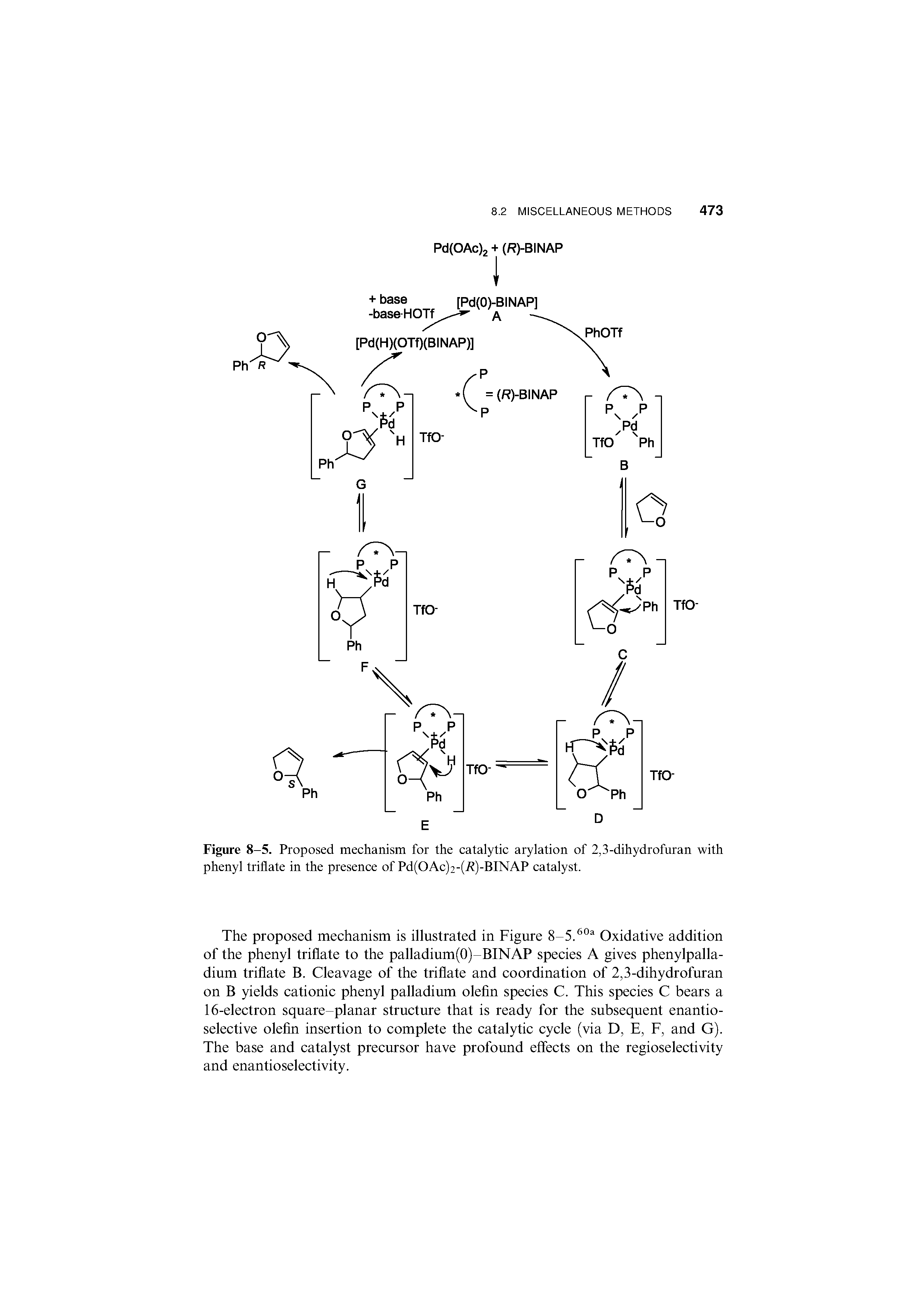 Figure 8-5. Proposed mechanism for the catalytic arylation of 2,3-dihydrofuran with phenyl triflate in the presence of Pd(OAc)2-(i )-BINAP catalyst.