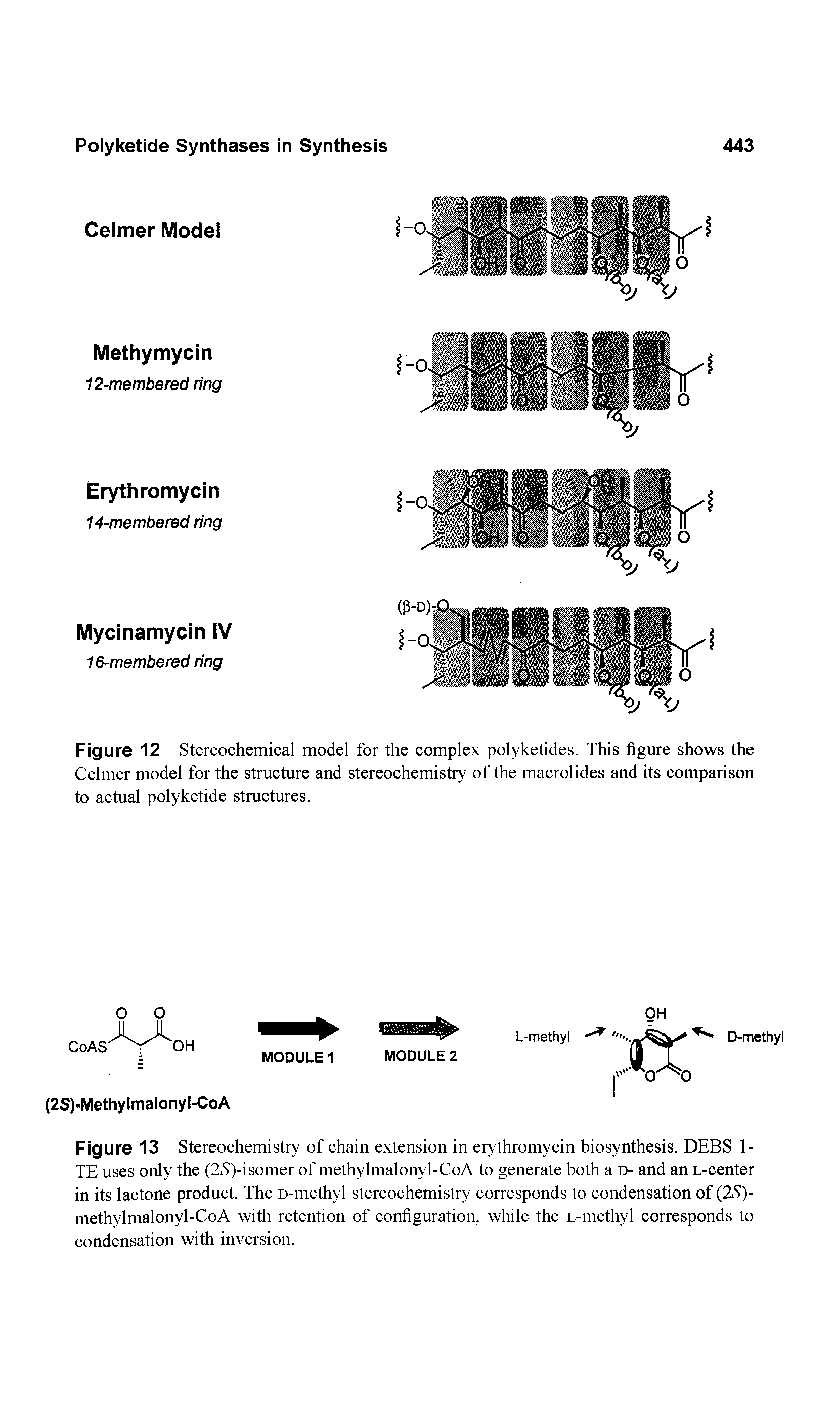 Figure 12 Stereochemical model for the complex polyketides. This figure shows the Celmer model for the structure and stereochemistry of the macrolides and its comparison to actual polyketide structures.