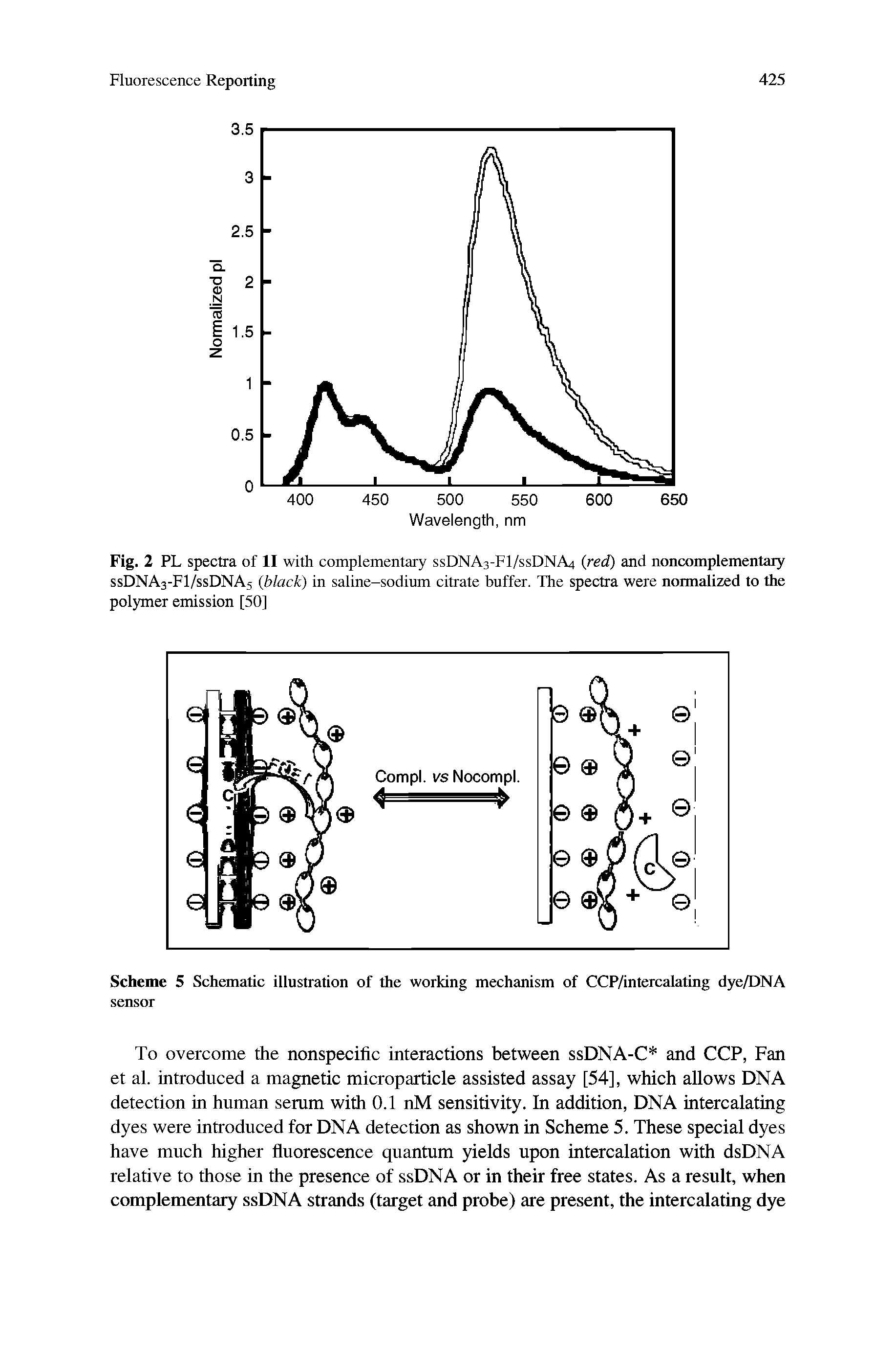 Scheme 5 Schematic illustration of the working mechanism of CCP/intercalating dye/DNA sensor...